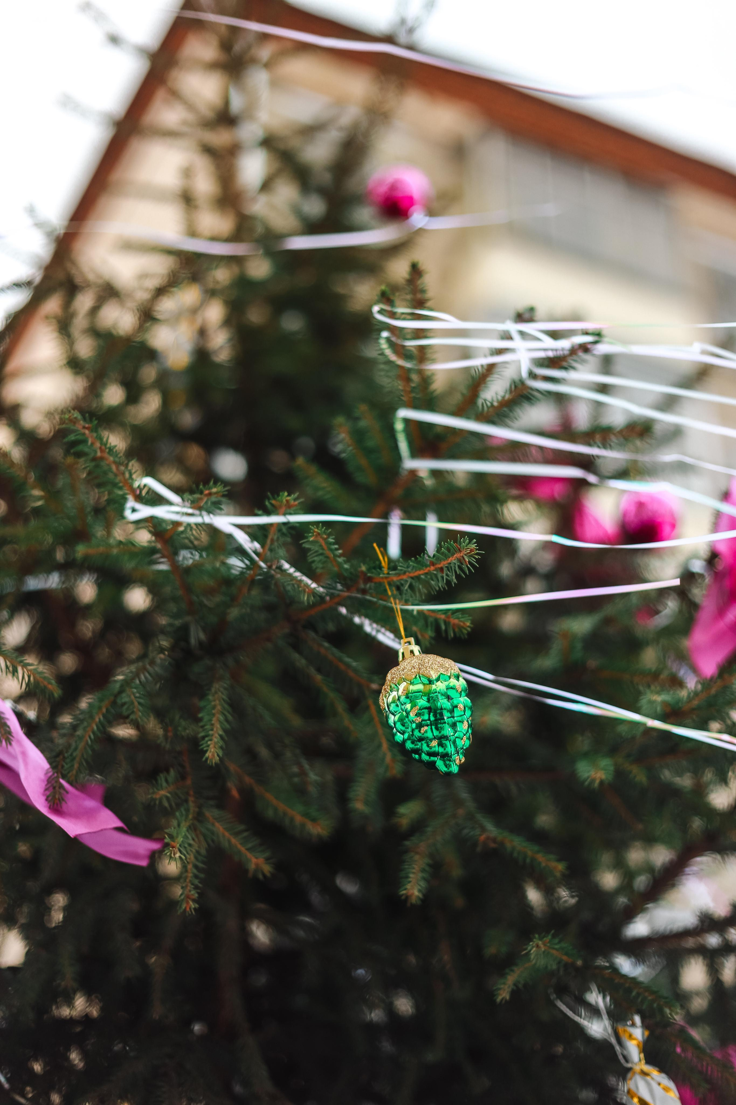А у нас во дворе. Антонина Морозова, профессиональный семейный фотограф видеограф