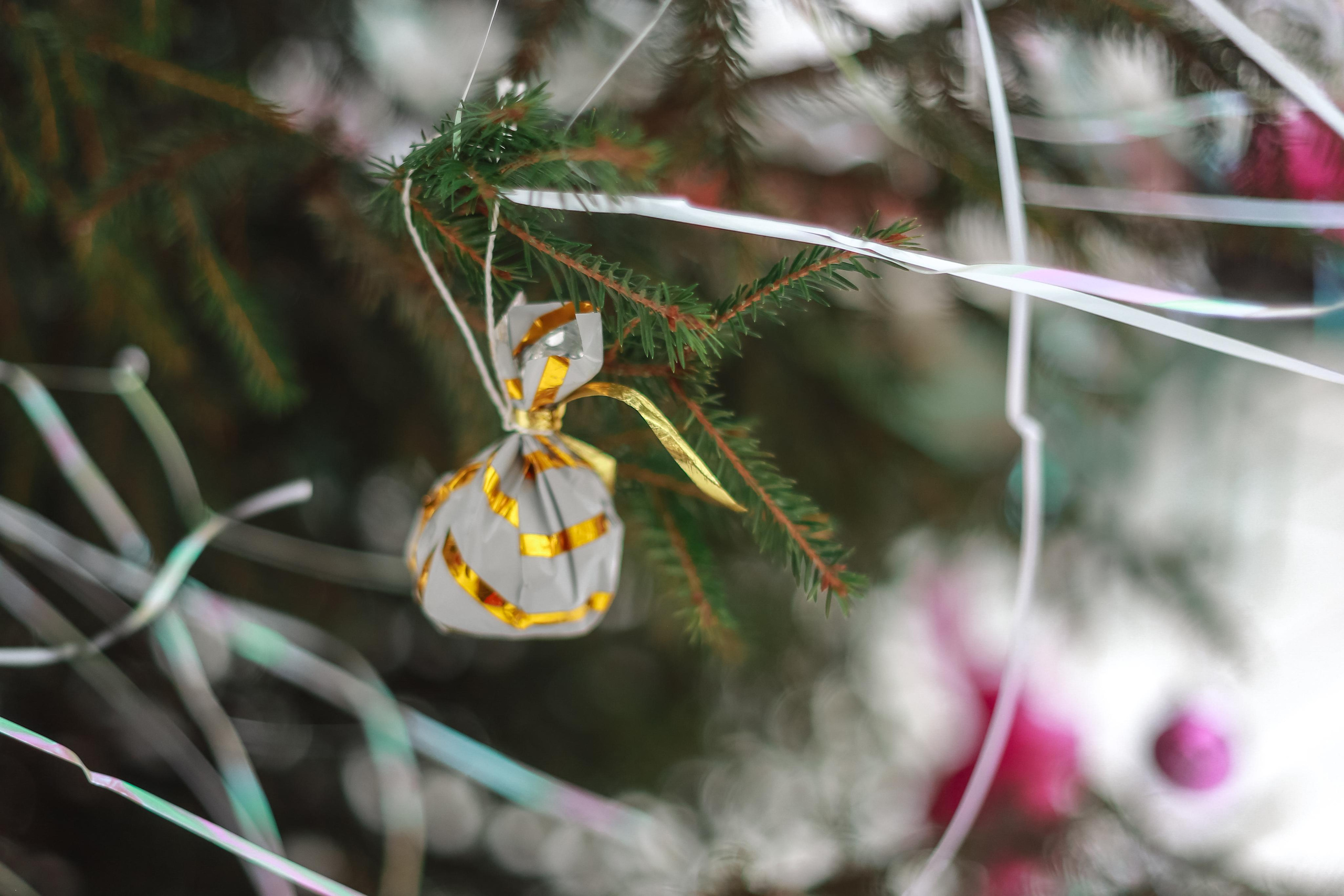 А у нас во дворе. Антонина Морозова, профессиональный семейный фотограф видеограф