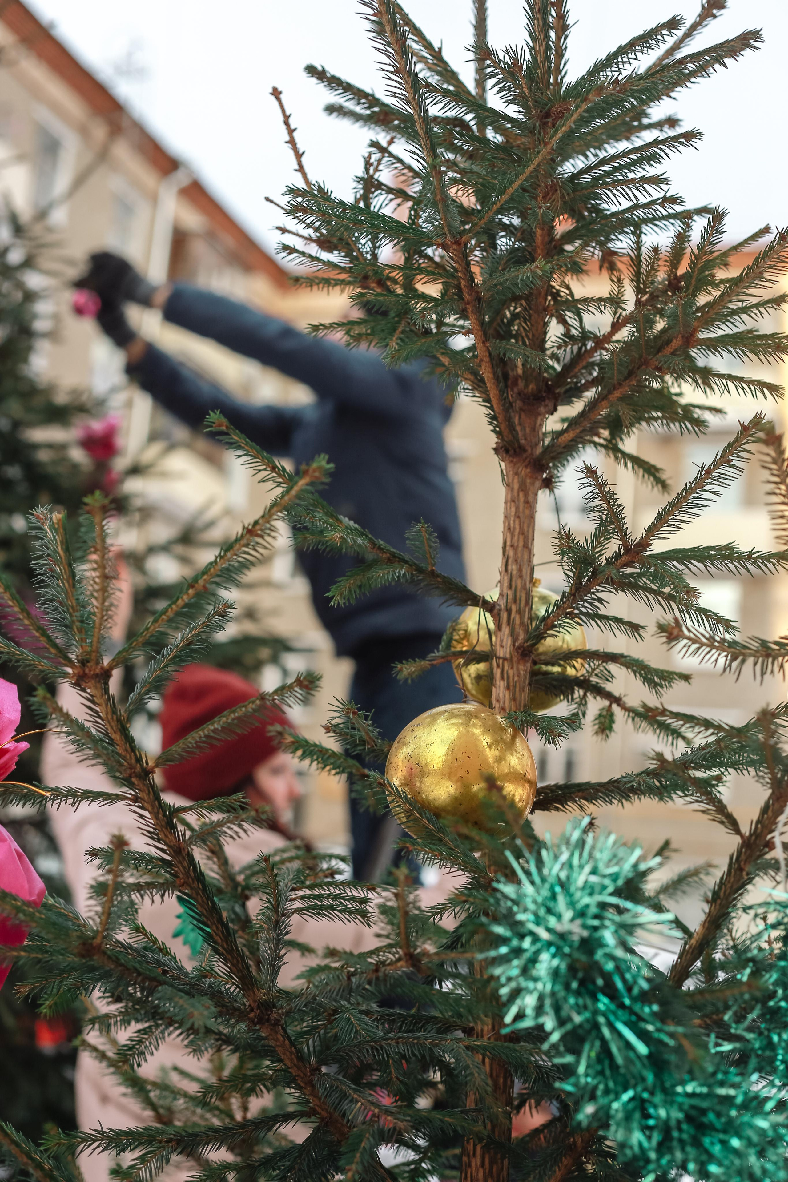 А у нас во дворе. Антонина Морозова, профессиональный семейный фотограф видеограф