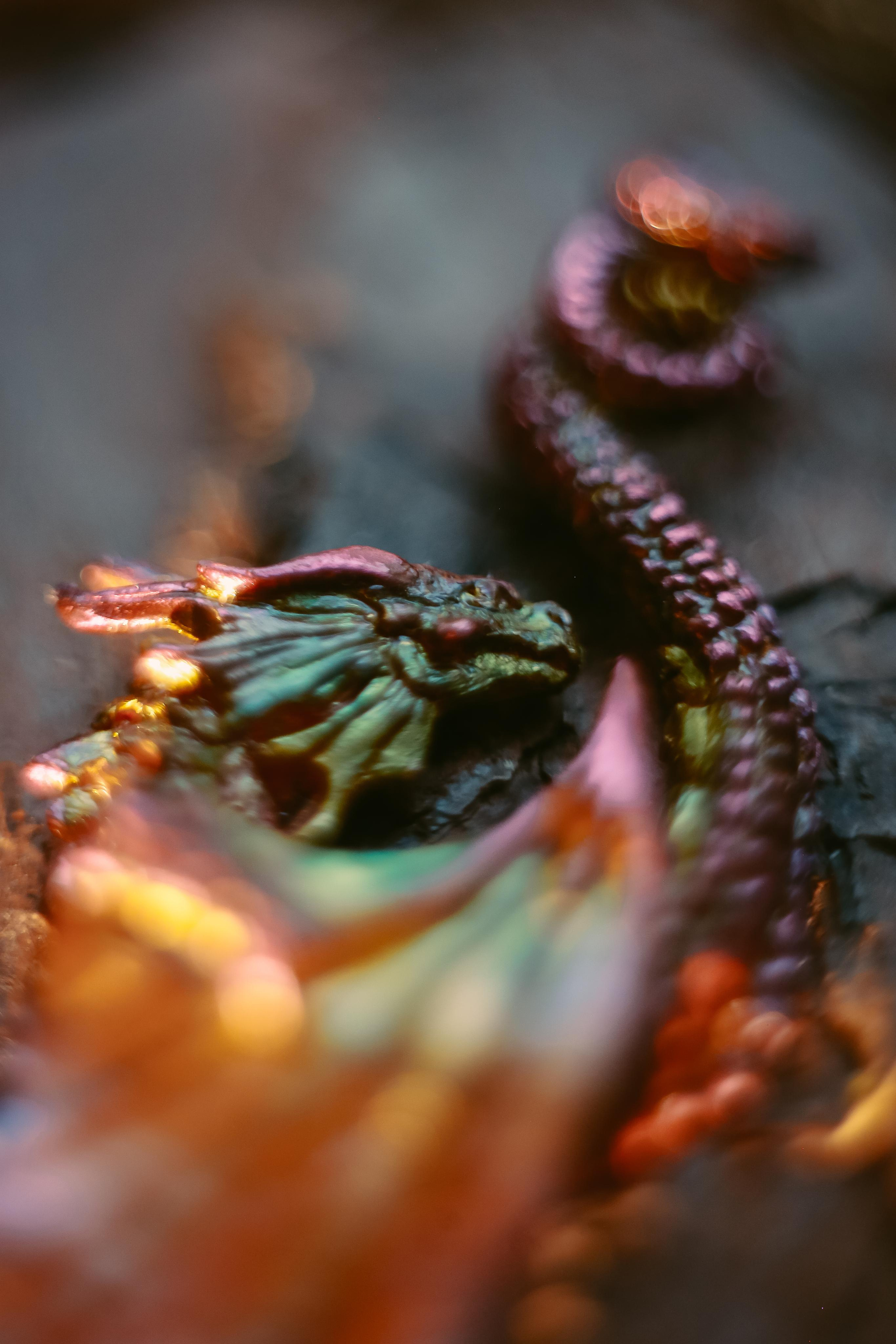 Драконы. Антонина Морозова, профессиональный семейный фотограф видеограф