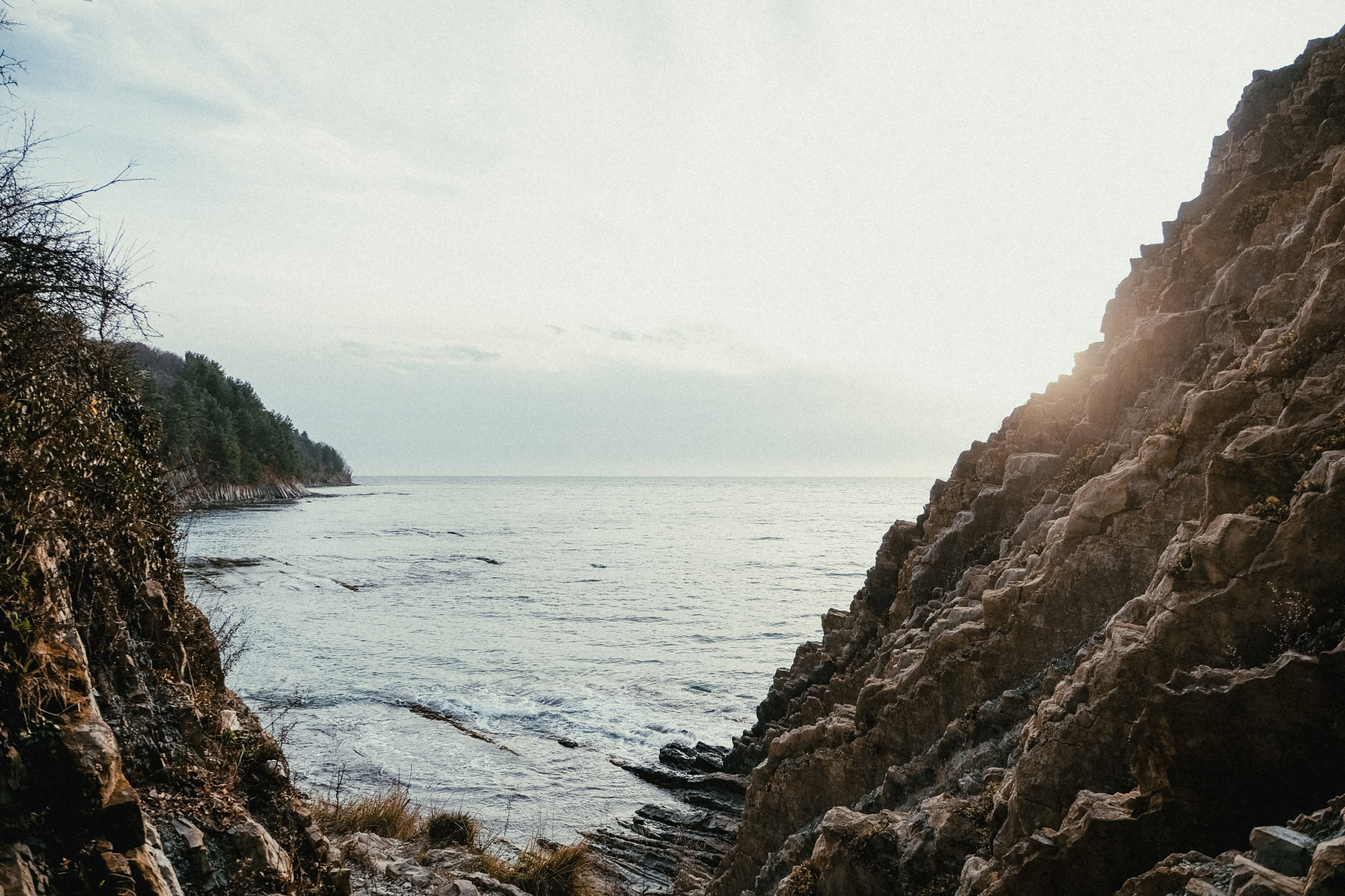 Катя, Паша и Федя. Семейный фотограф Москва