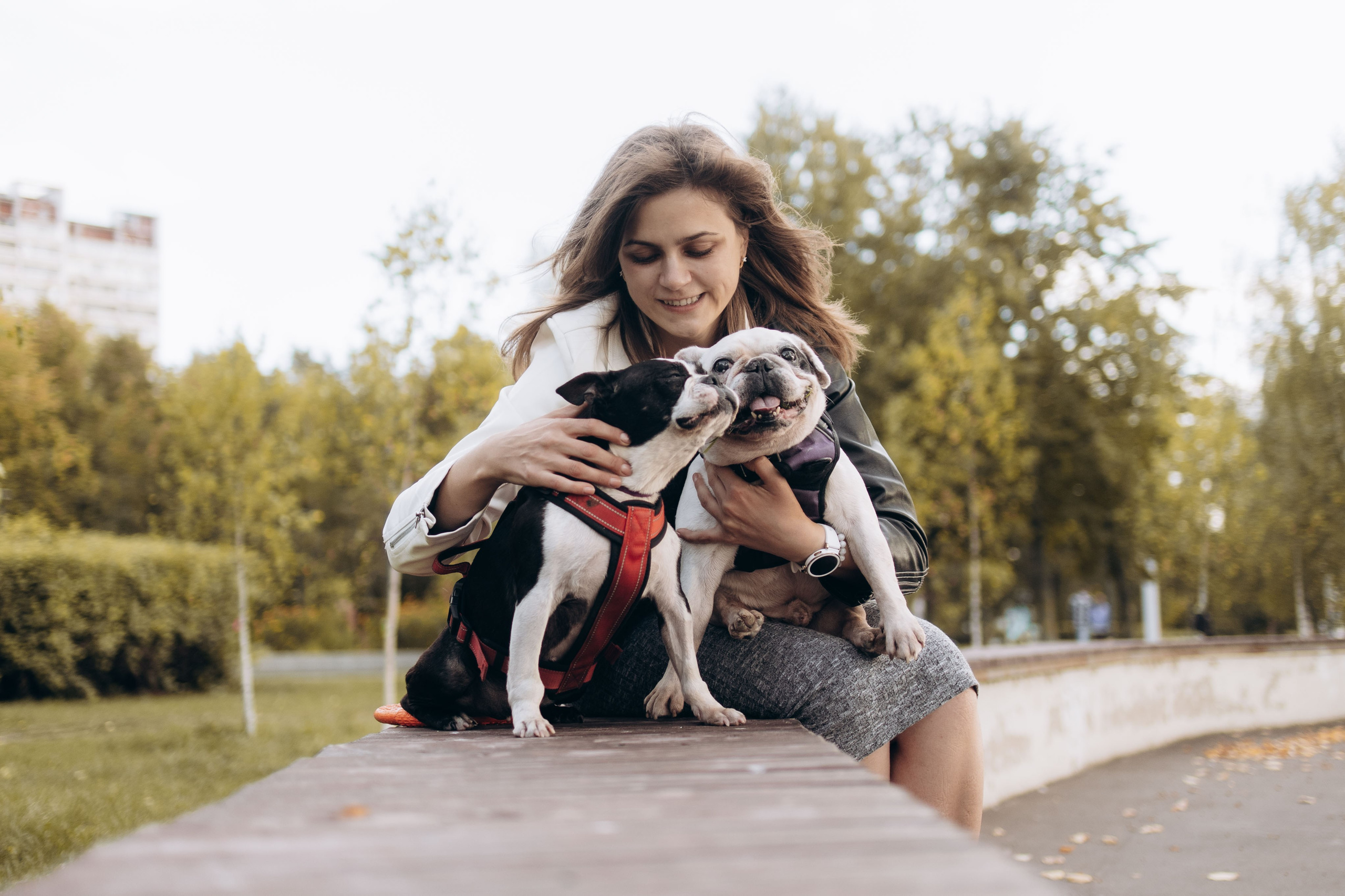 Оля и бульдоги