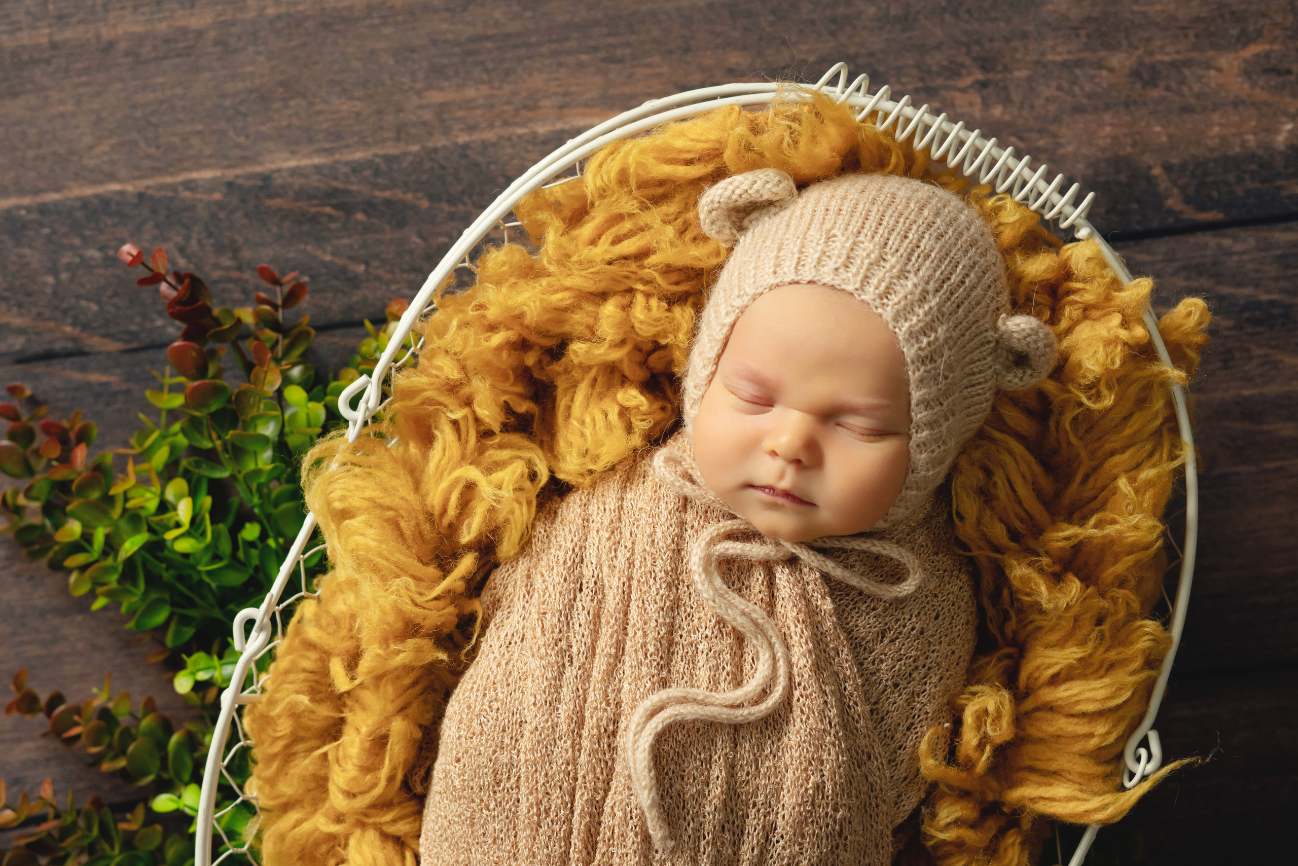 Марк. Фотограф новорожденных Тюмень