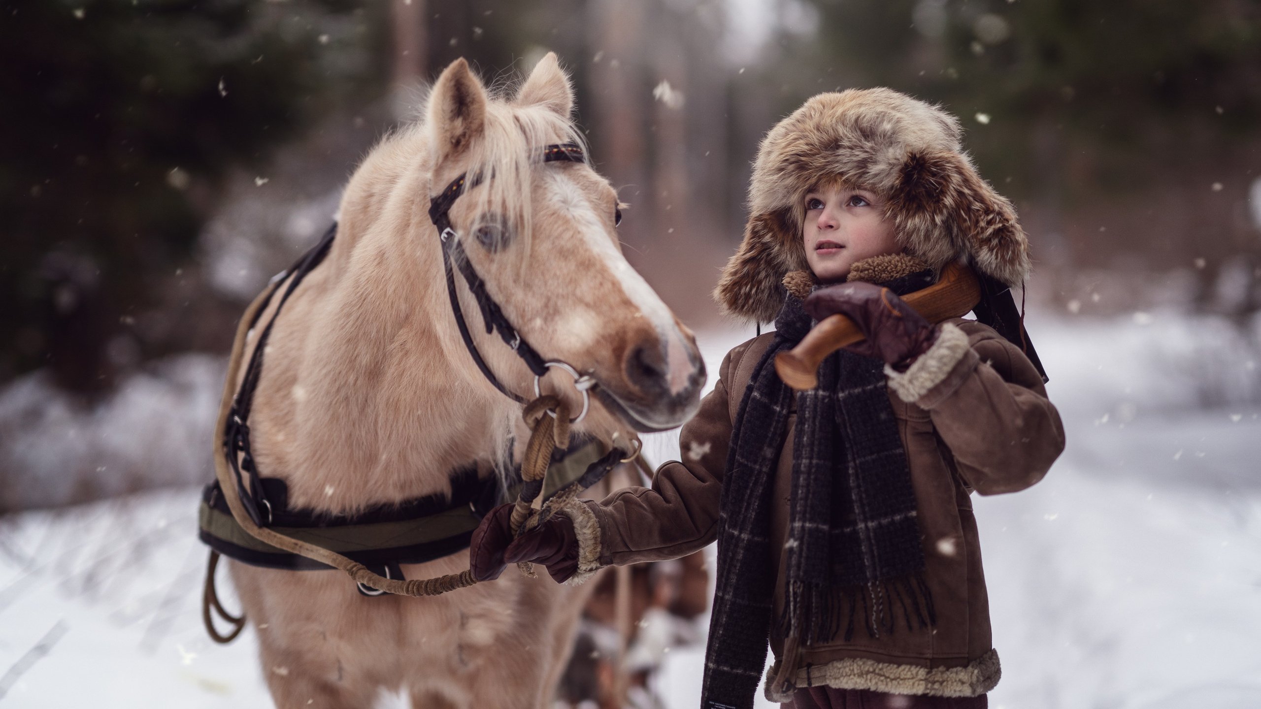 За ёлкой. Семейный фотограф Новая Рига (Звенигород, Истра) Евгения Литовченко