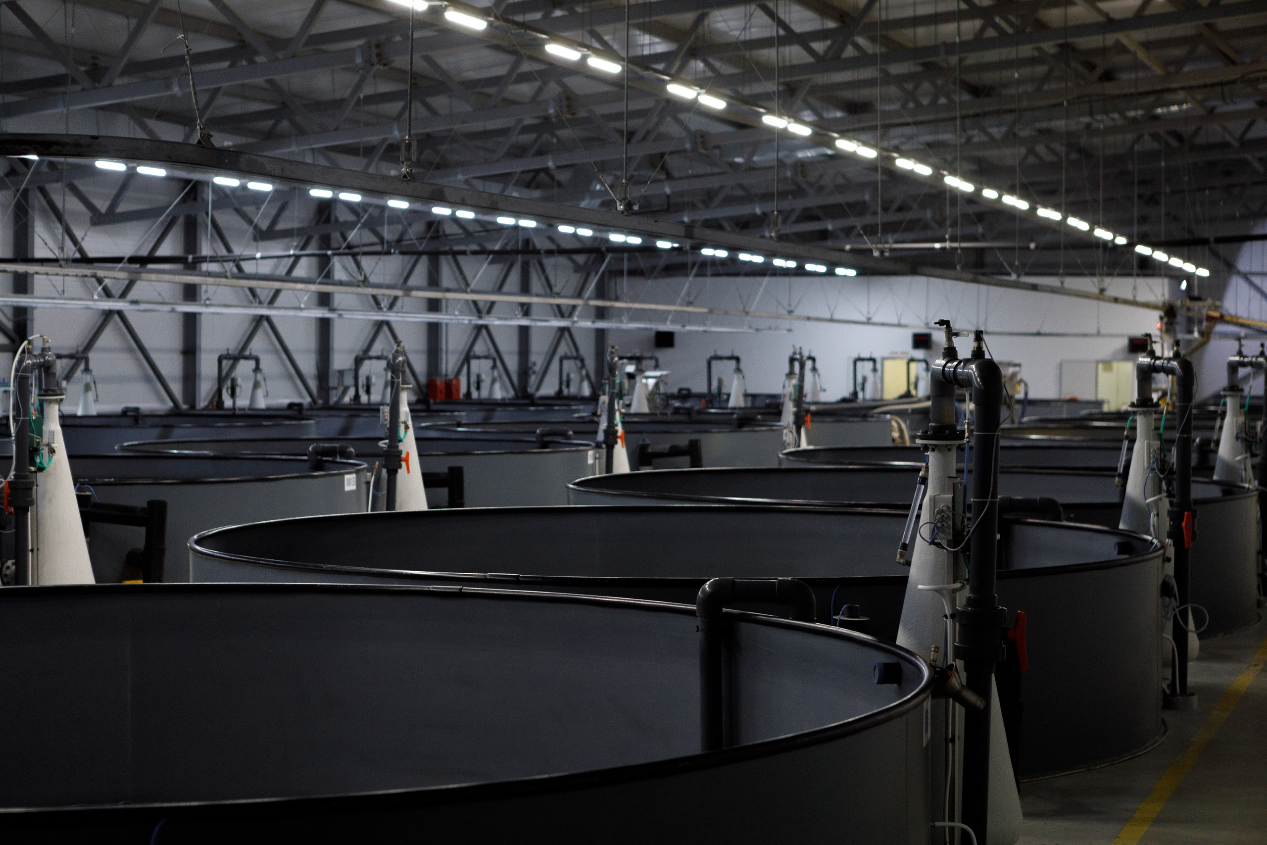 Kala-Ranta Trout Farm. Commercial photographer | Anton Ermakov