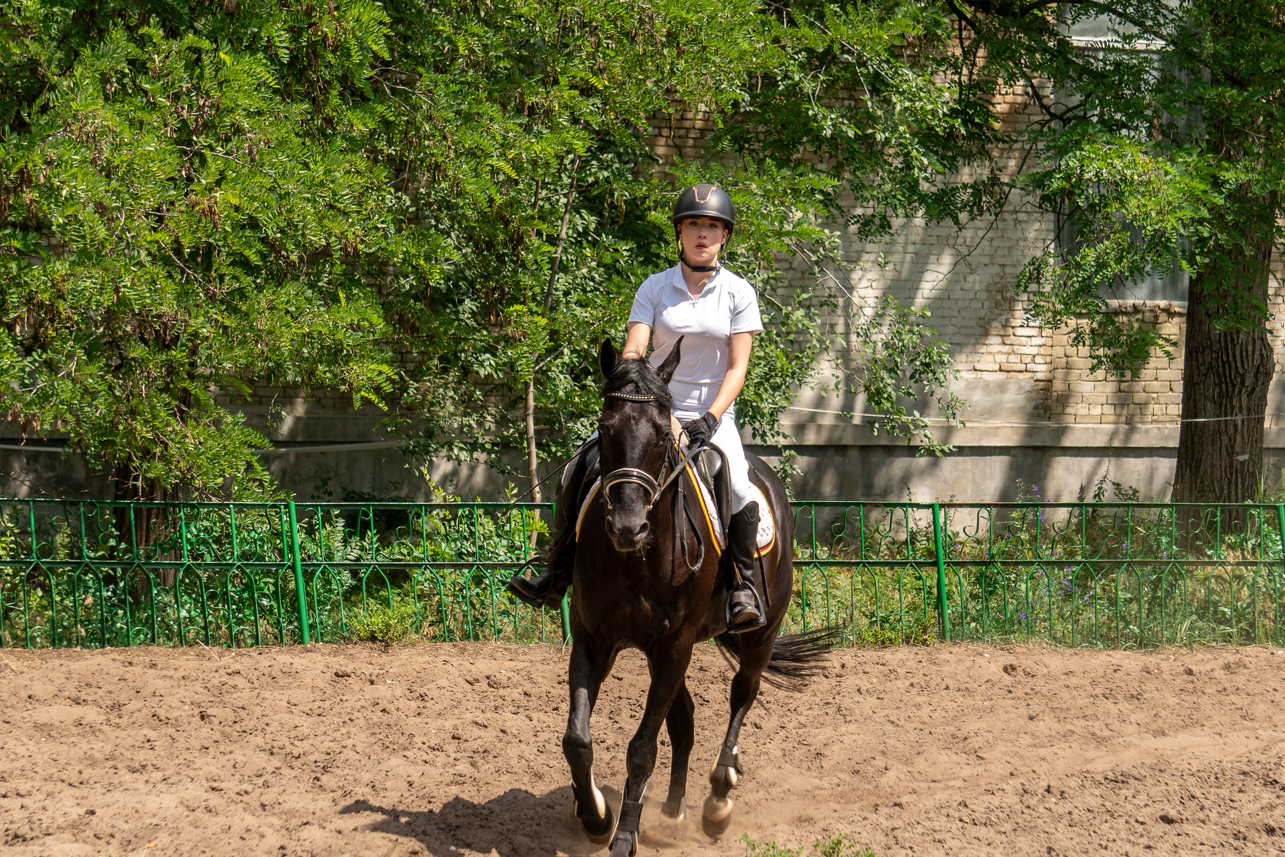Соревнования по конкуру, Луганск. Фотограф в РФ и ЛНР Юлия Федосеева