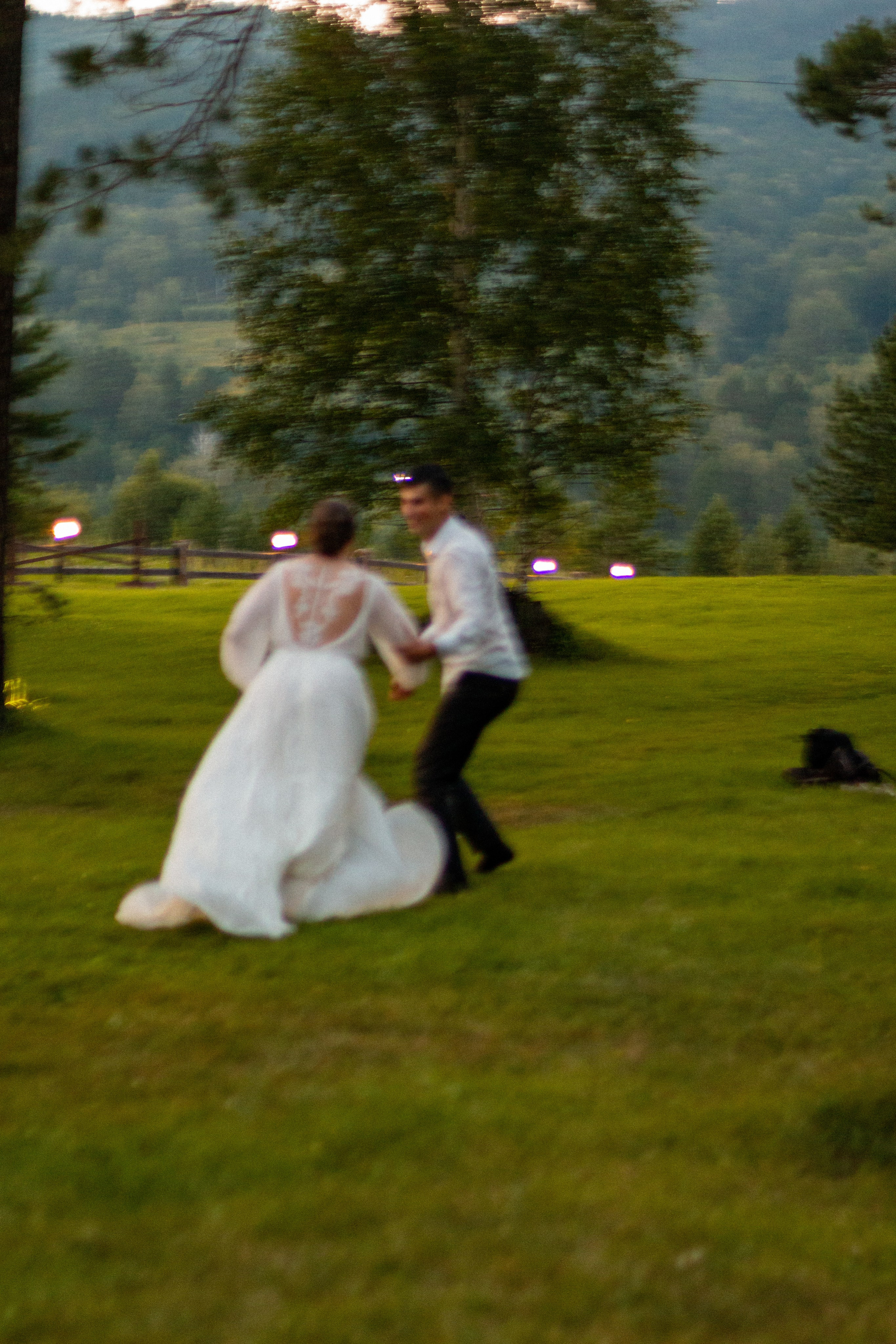 Настя и Тимофей, свадьба. Фотограф в Сочи
