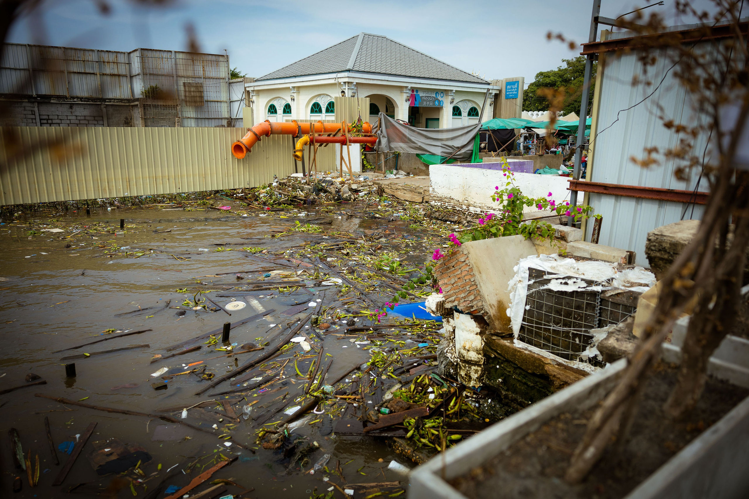 Таиланд (зима 2025). Фотограф Виноградов Константин