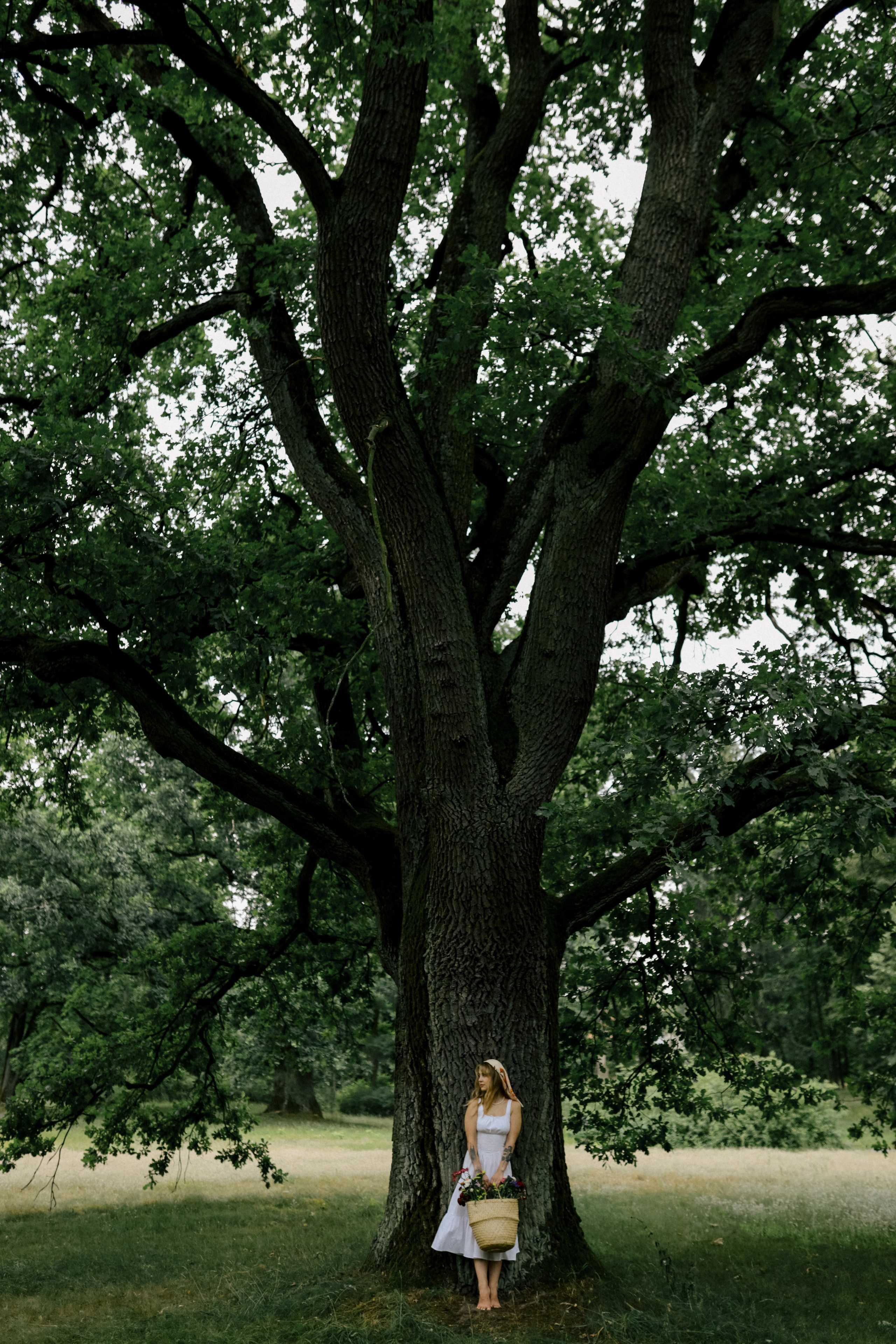 Лісова пісня. Свадебный и семейный фотограф в Варшаве