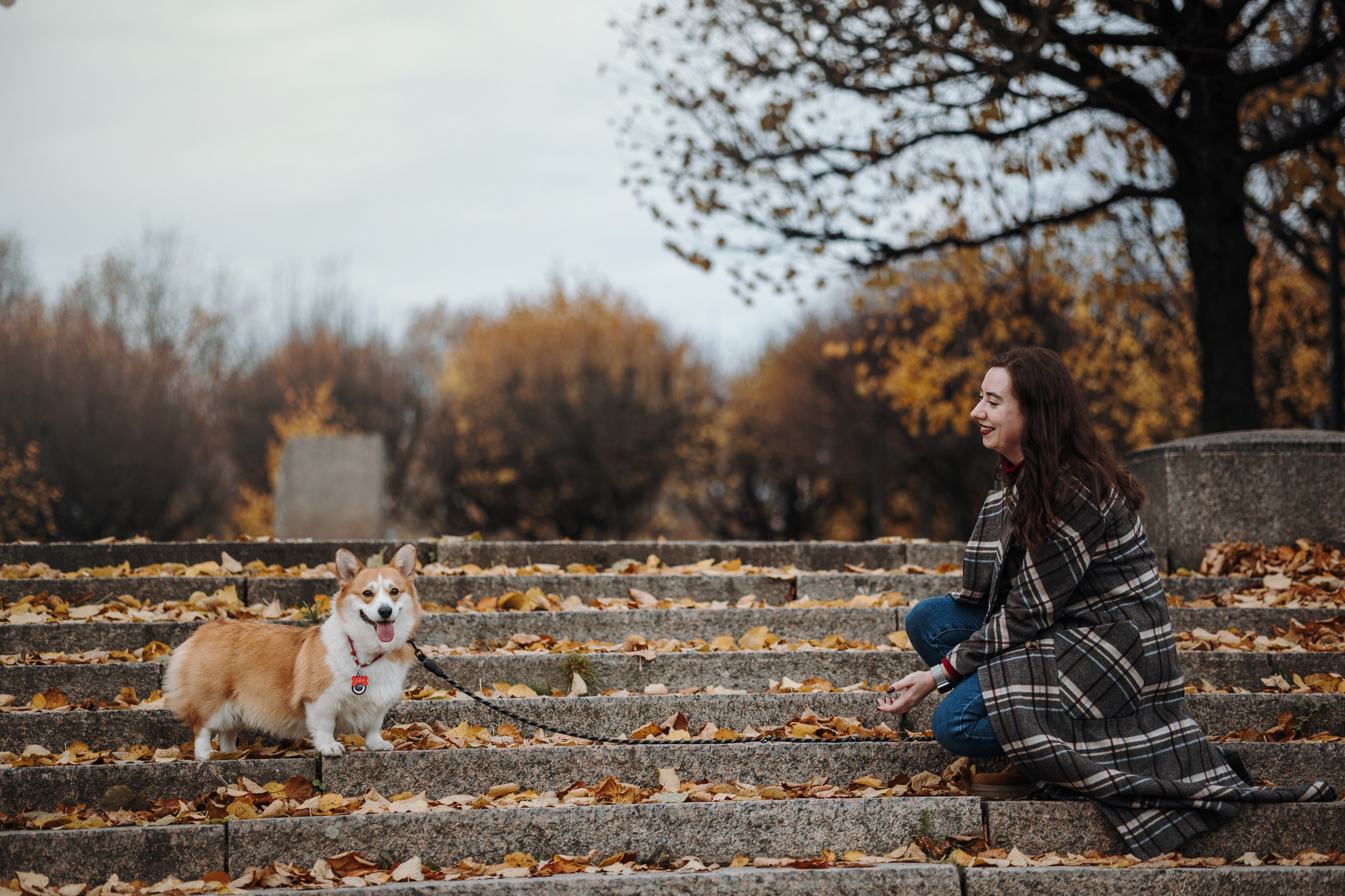 Юля и Терри. Фотограф — Анималист | Санкт-Петербург