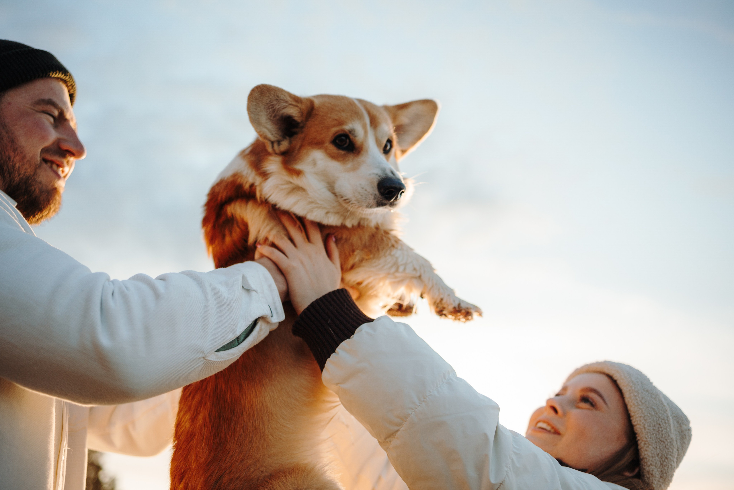 Найт и его семья. Фотограф — Анималист | Санкт-Петербург