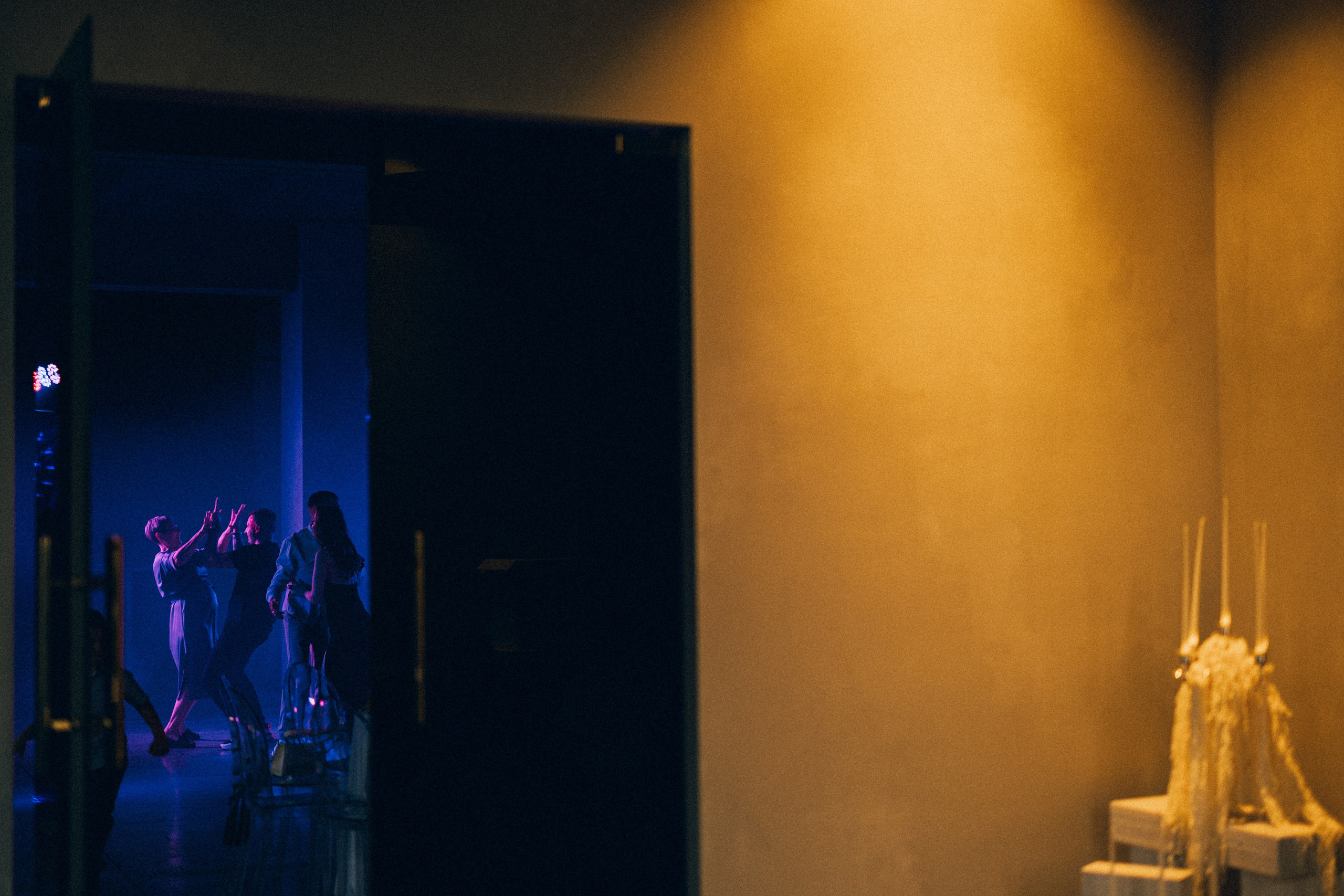 Dandelions. Daria Chigintseva Photographer