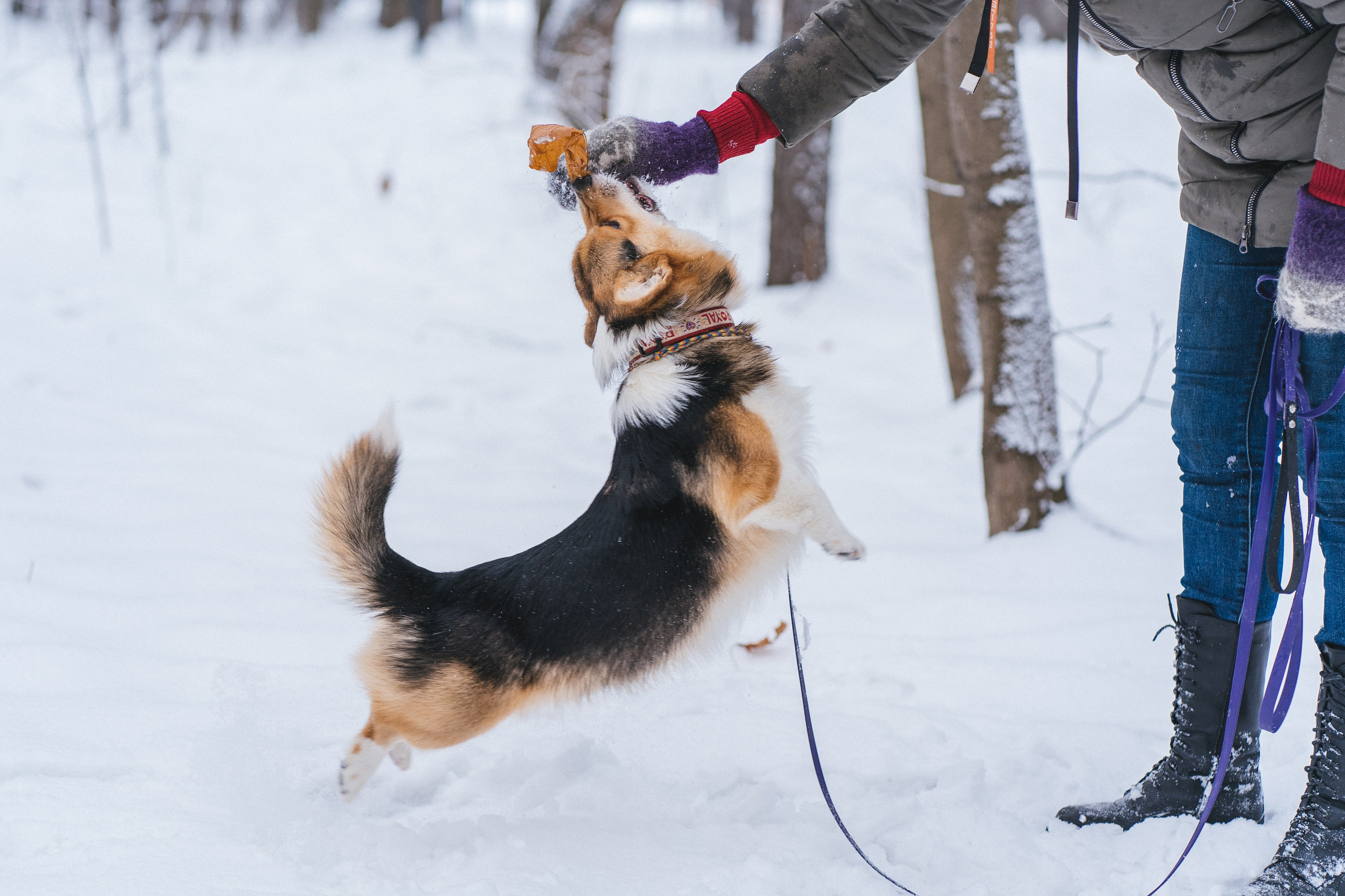 Каспер и Полина. Свадебный фотограф в Москве Анна Полушина