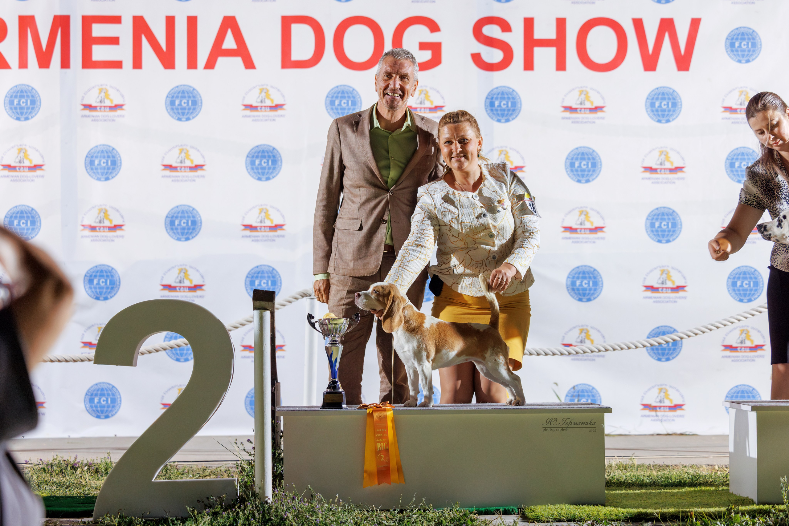 Ереван 3хCACIB 23-25.06.2025. Фотограф-анималист Юлия Германика