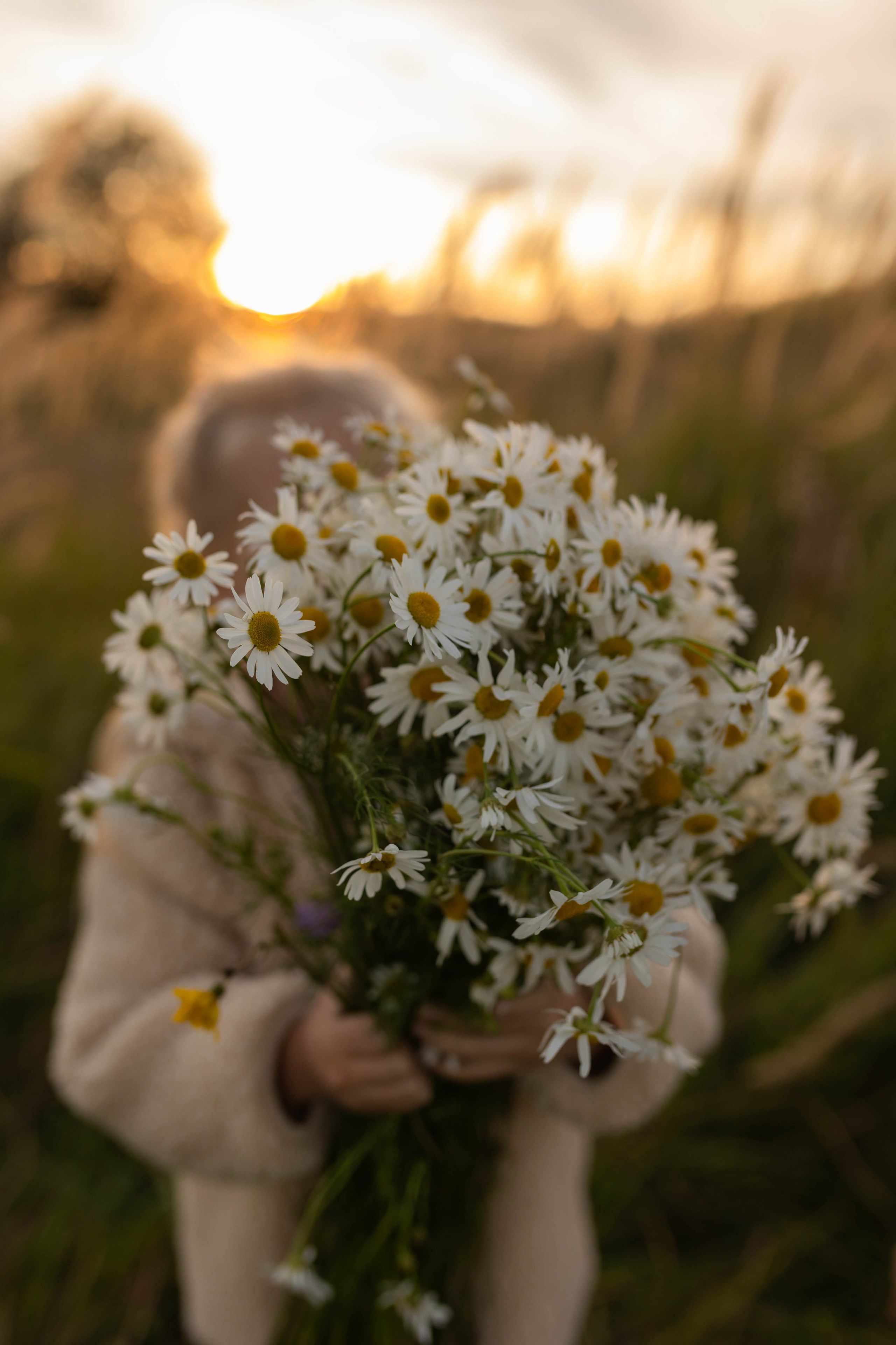 За ромашками!. Семейный фотограф в Санкт-Петербурге Любовь Савкина