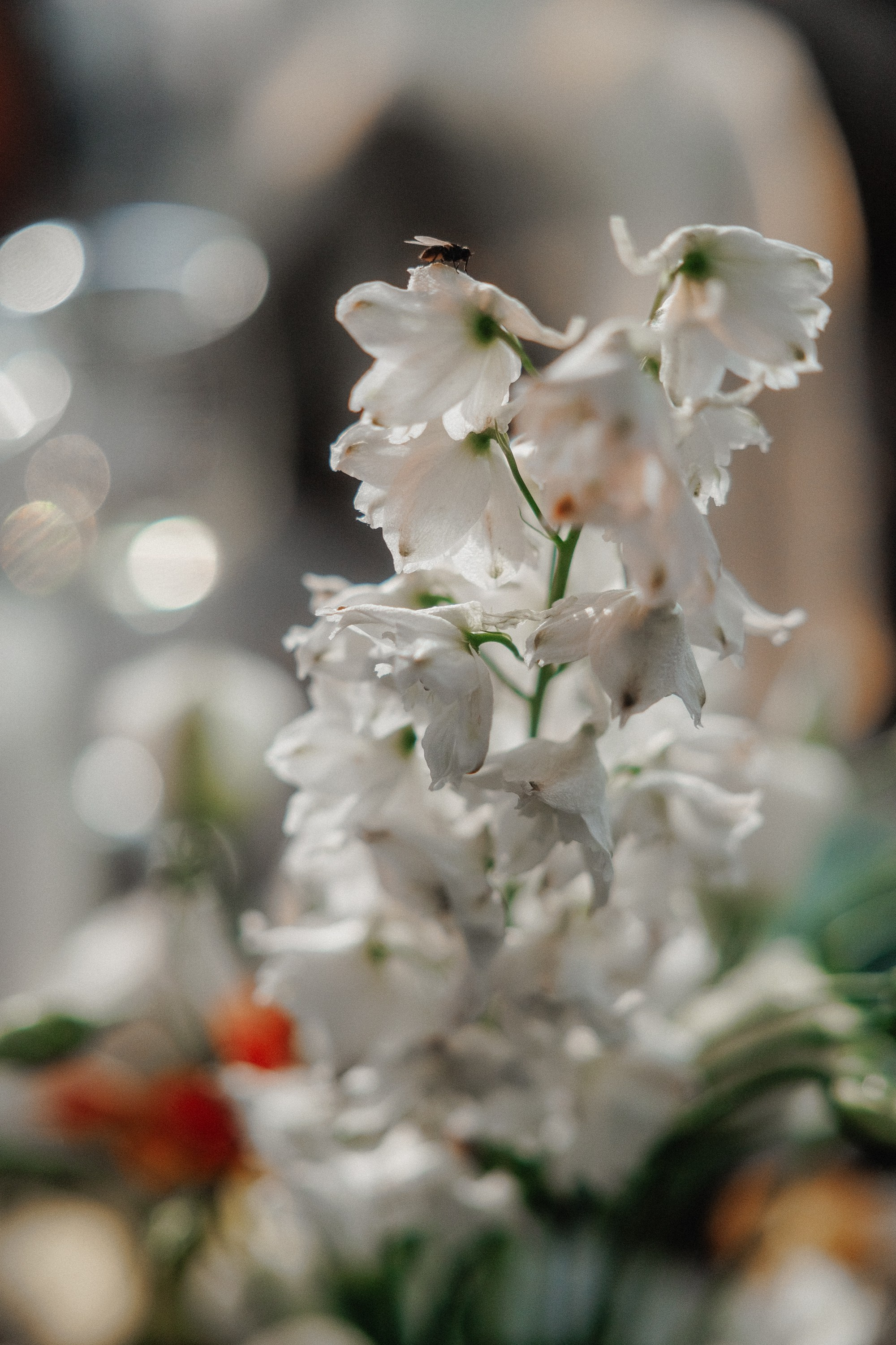 Алина и Евгений. Свадебный фотограф в Нижнем Новгороде и Москве Николай Майоров