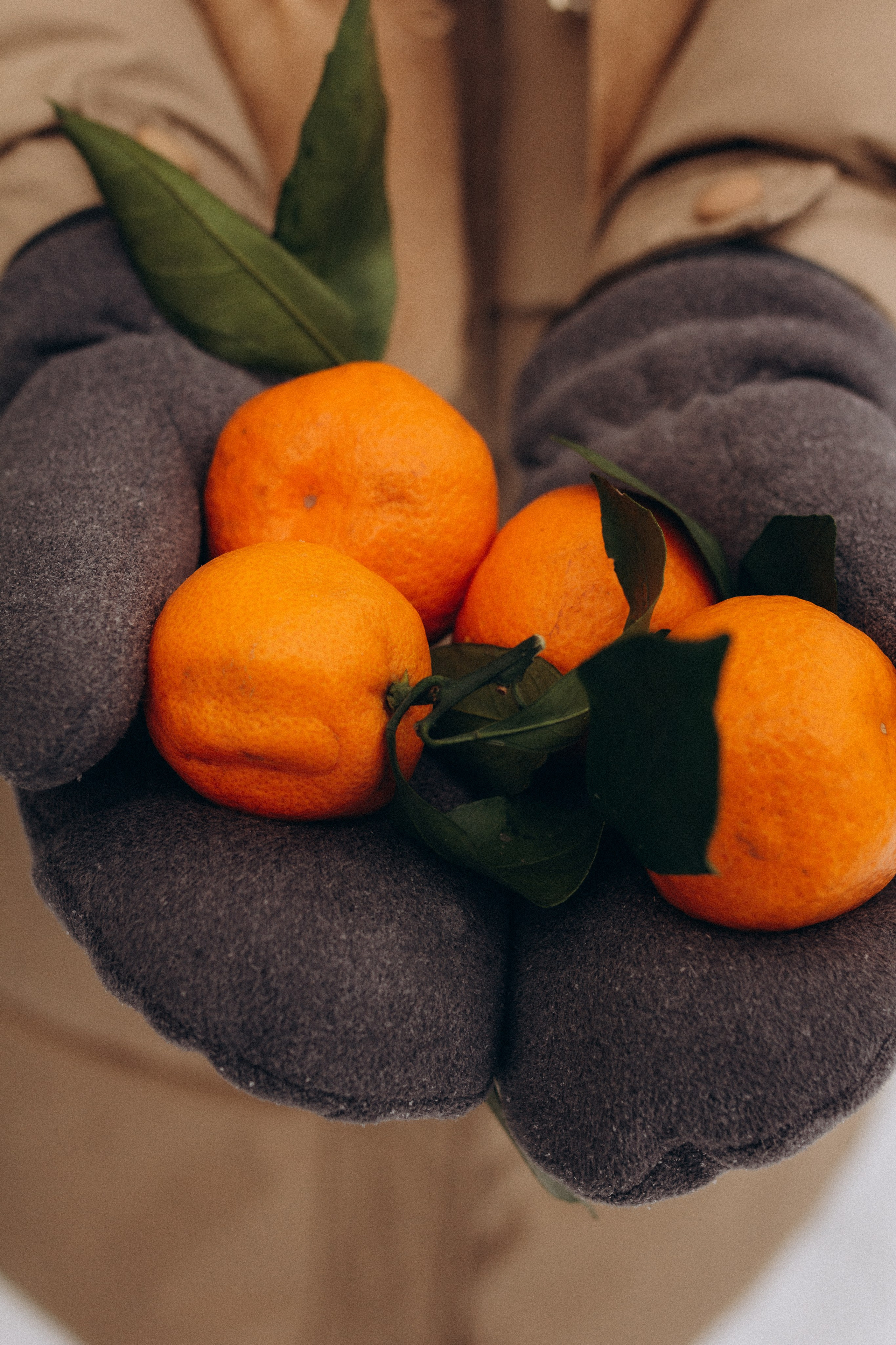 Прогулочная фотосессия. Фотограф Красноярск Архипова Алина