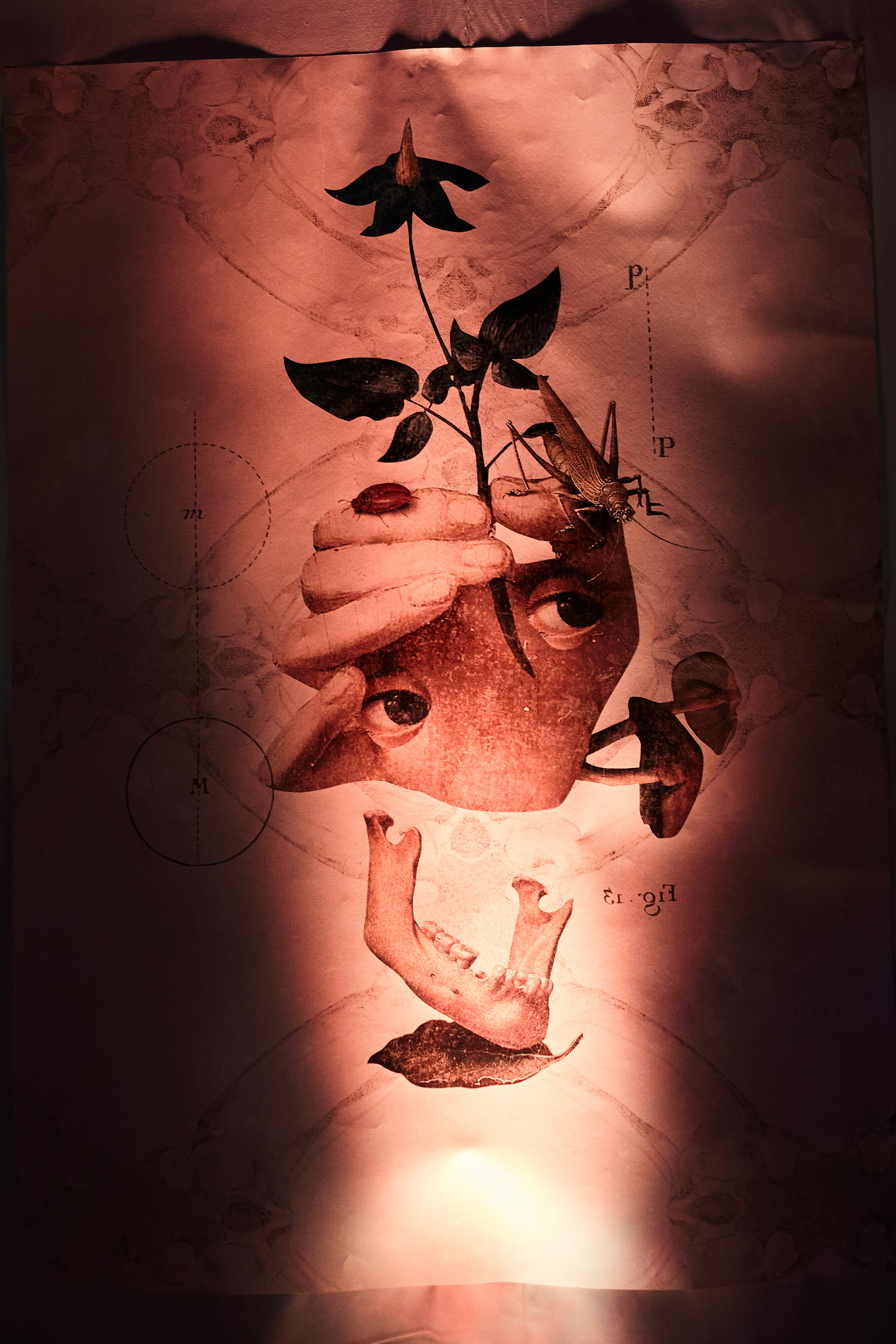 HAPPY BIRTHDAY KABINET BAR