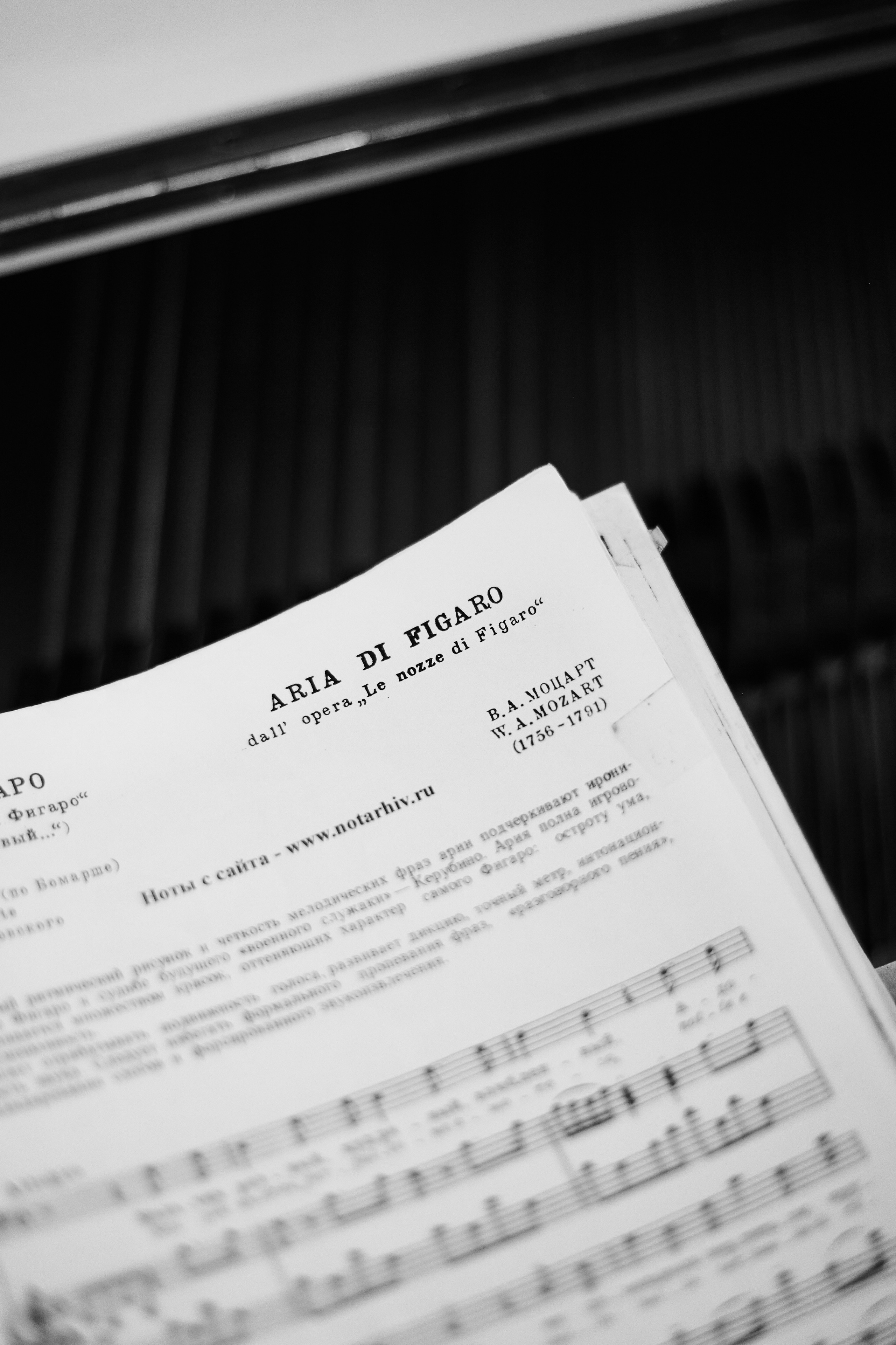 OVER 05 TONE. Фотограф в Санкт-Петербурге Лазарев Евгений