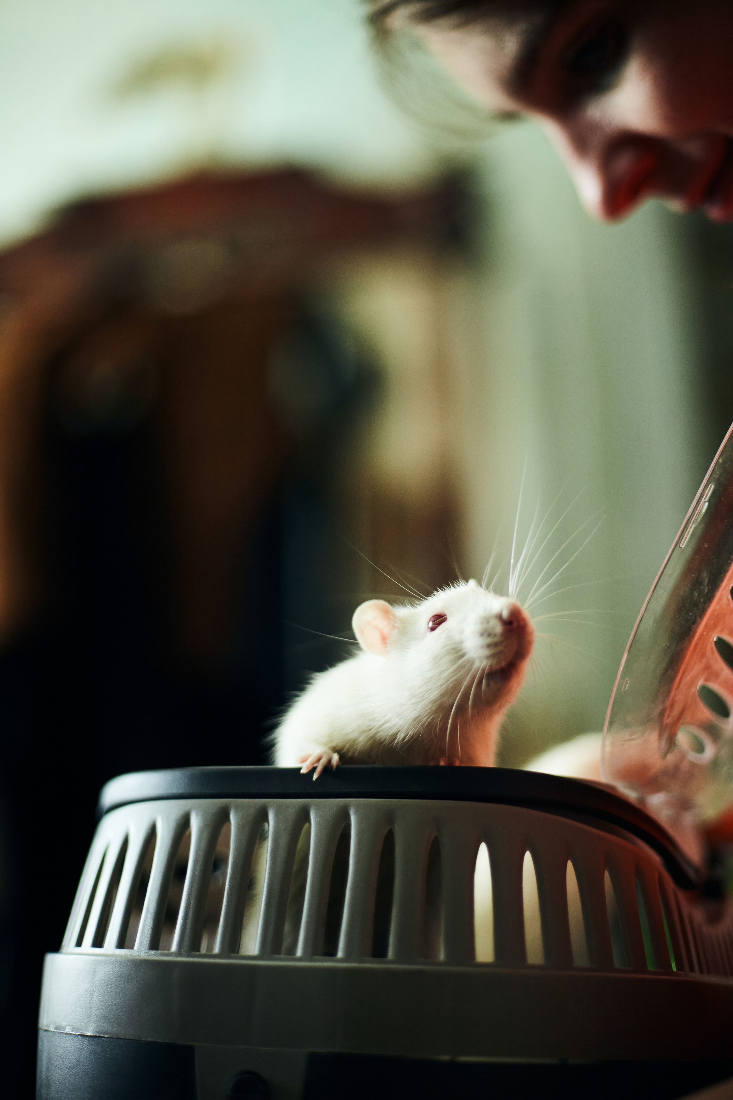 LIOMPA BACKSTAGE 01DAY. Фотограф в Санкт-Петербурге Лазарев Евгений