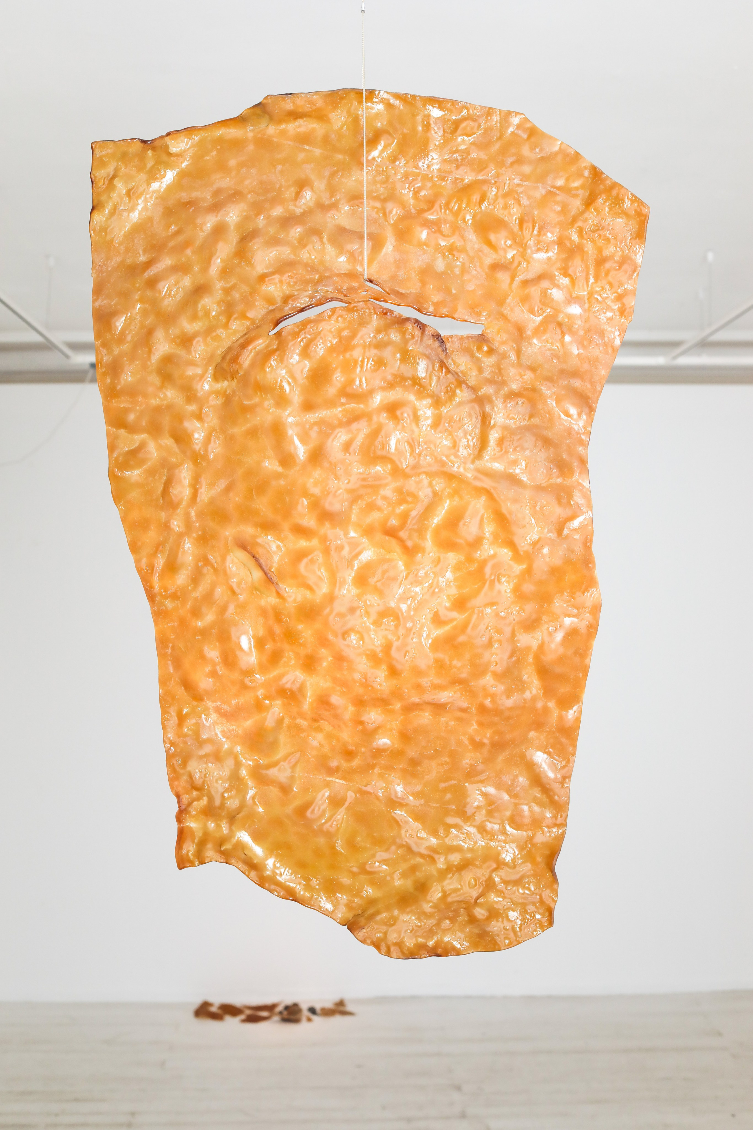 Выставки. Стас Привалов