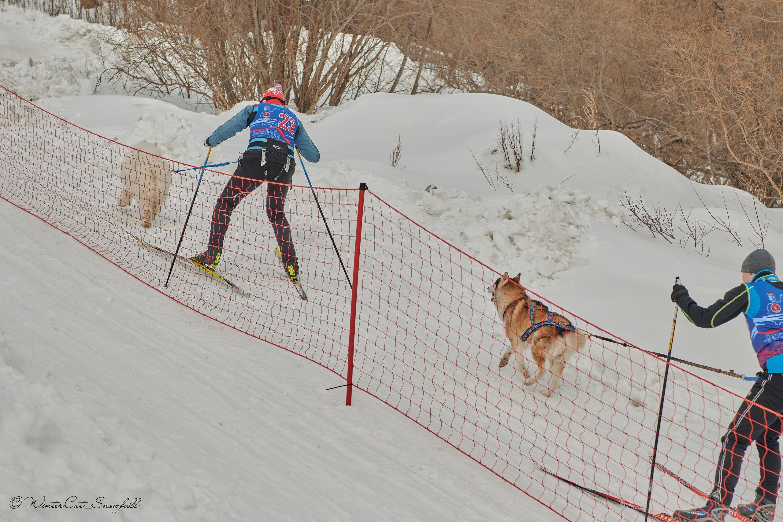 Дзяблу 30.03. Портретный и репортажный фотограф в Магадане Андрей Нефедов WinterCatPhoto