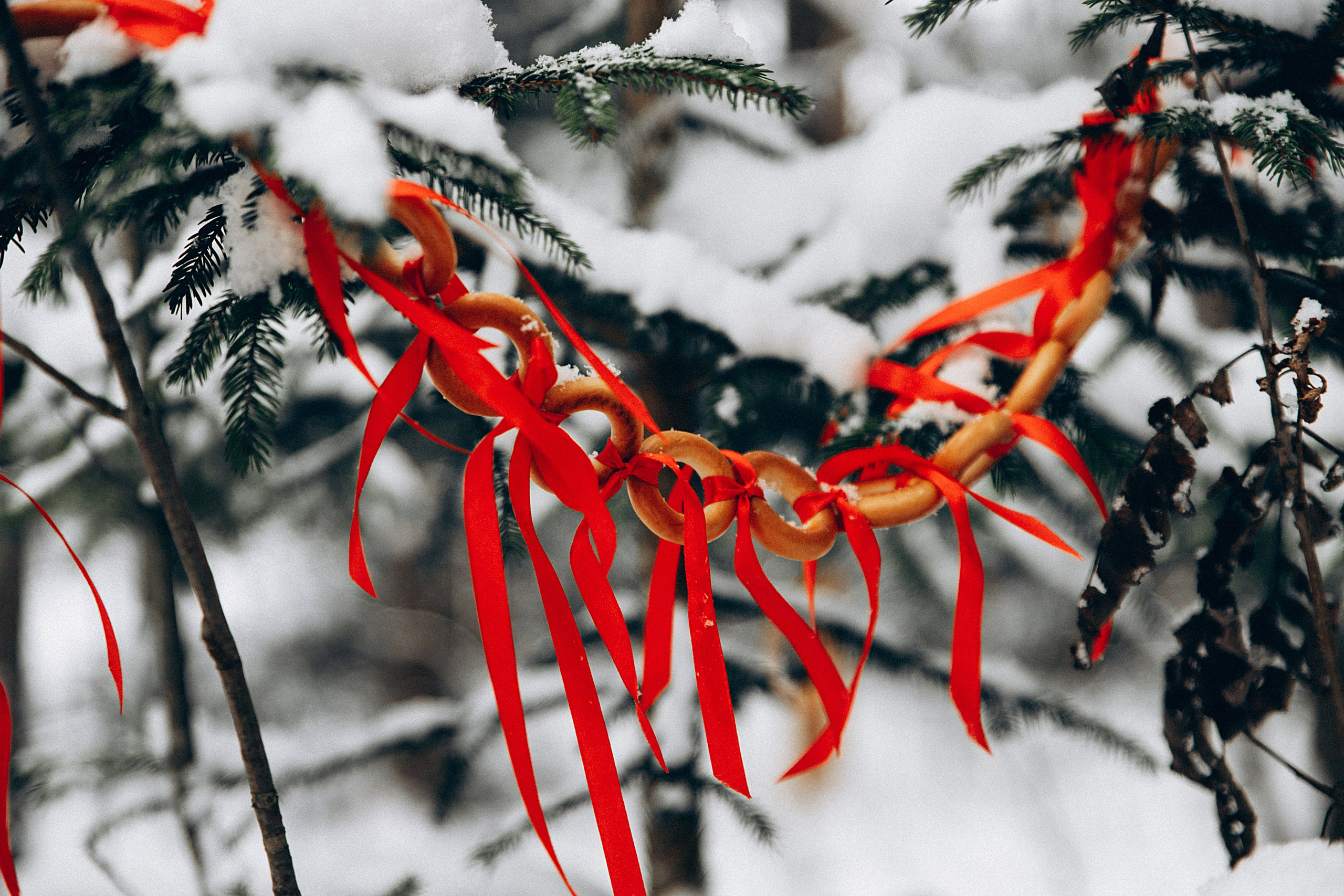Зимние радости. Репортажный и детский фотограф в Минске
