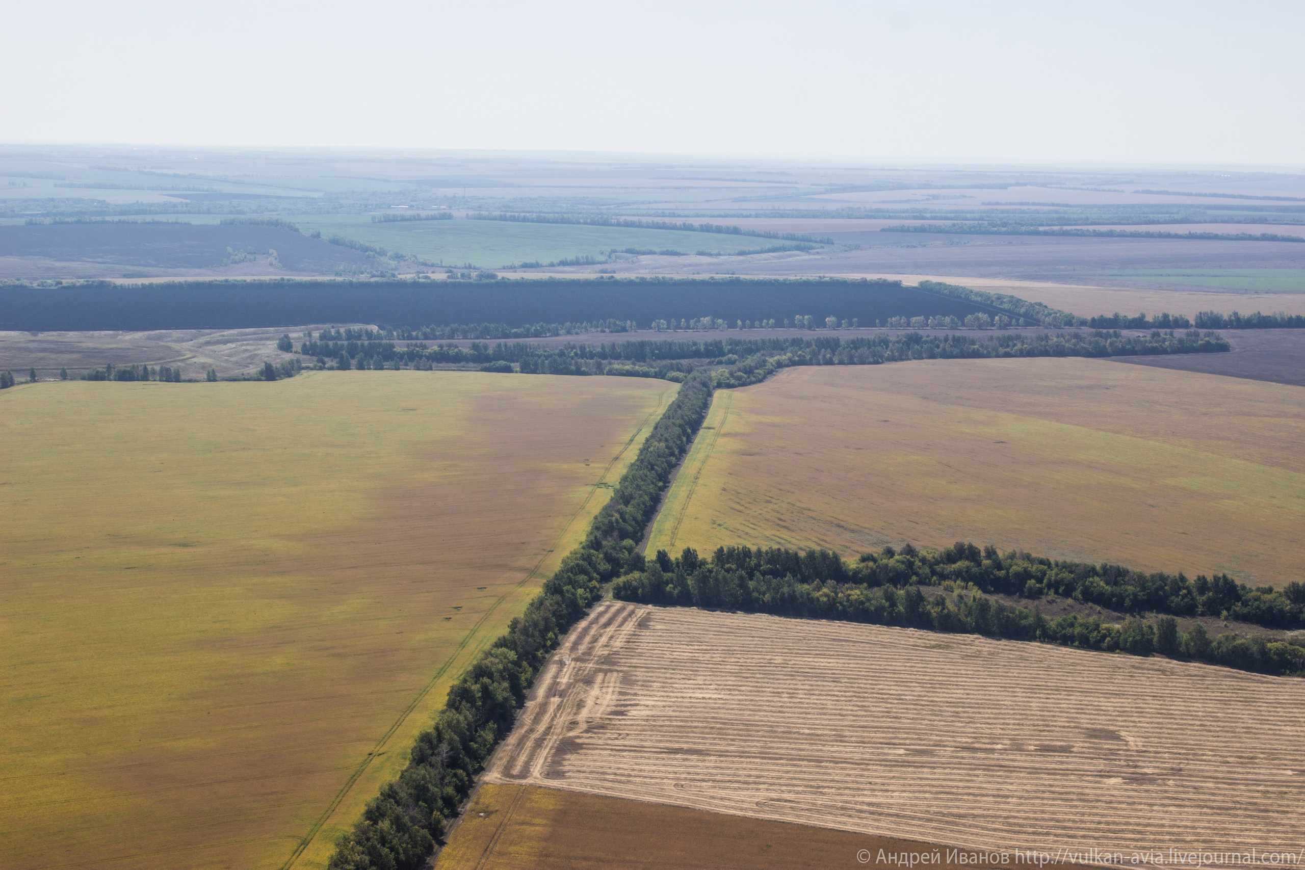 Волгодонск аэр. Потапов слёт «Небо для всех» (2021 г.). Фотоальбом показывающий увлекательный мир авиации и мир медведей Андрея Иванова