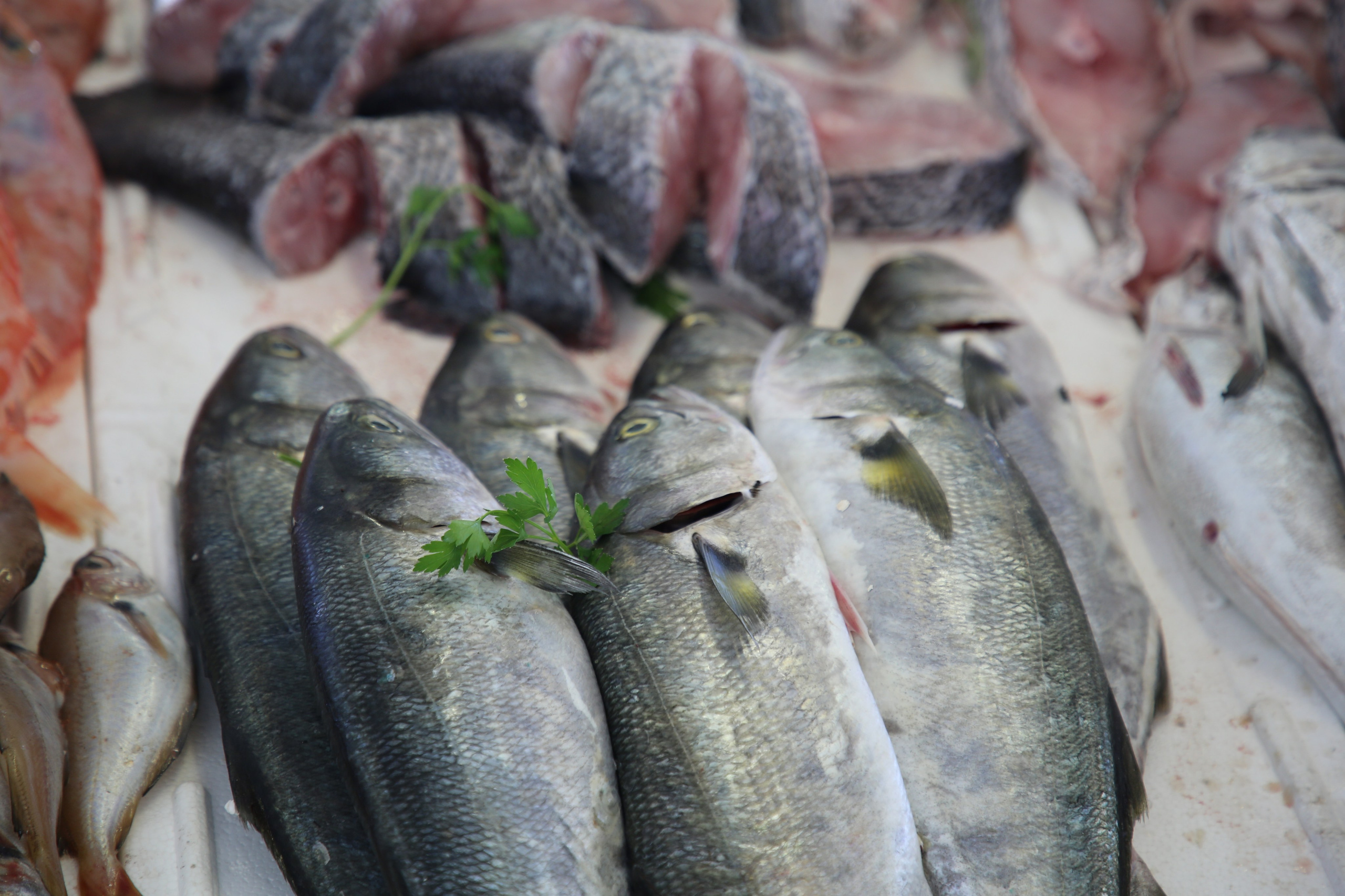 Espihnio, Portugal. Andrey Filippov Photographer