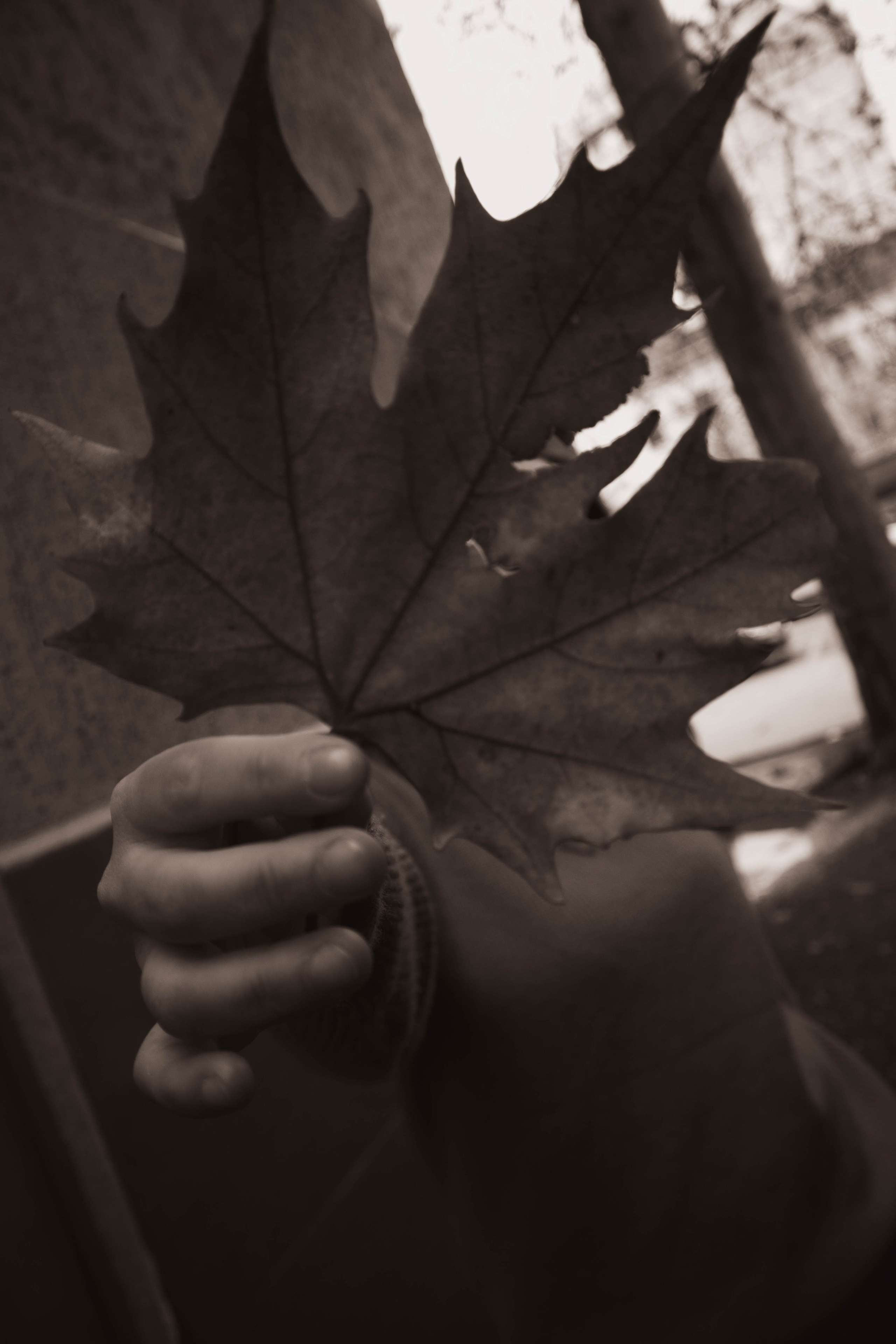 «Городская грация: осенний вальс». Уличный фотограф Города N