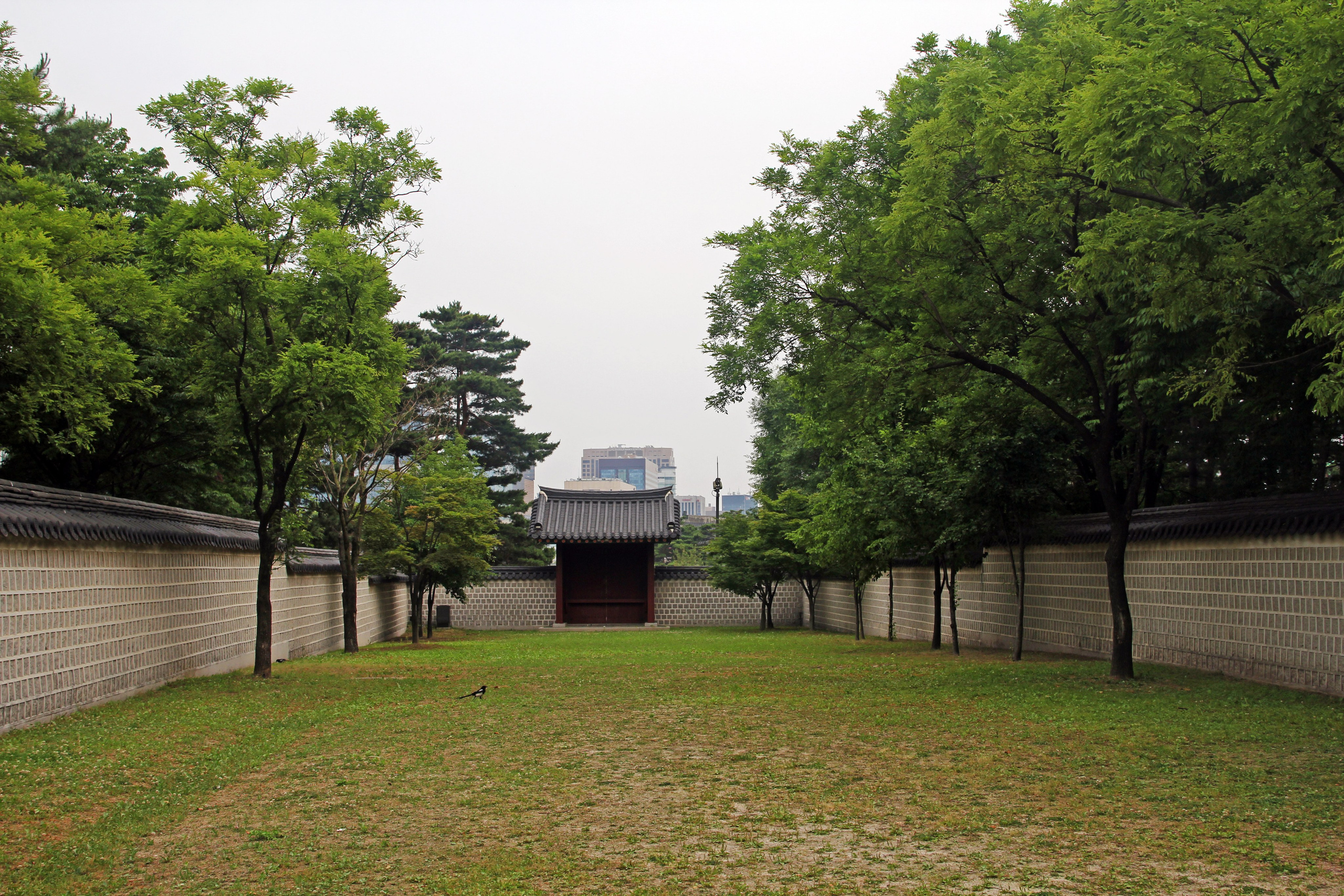 Южная Корея — Сеул. Фотограф Алексей Федорищев