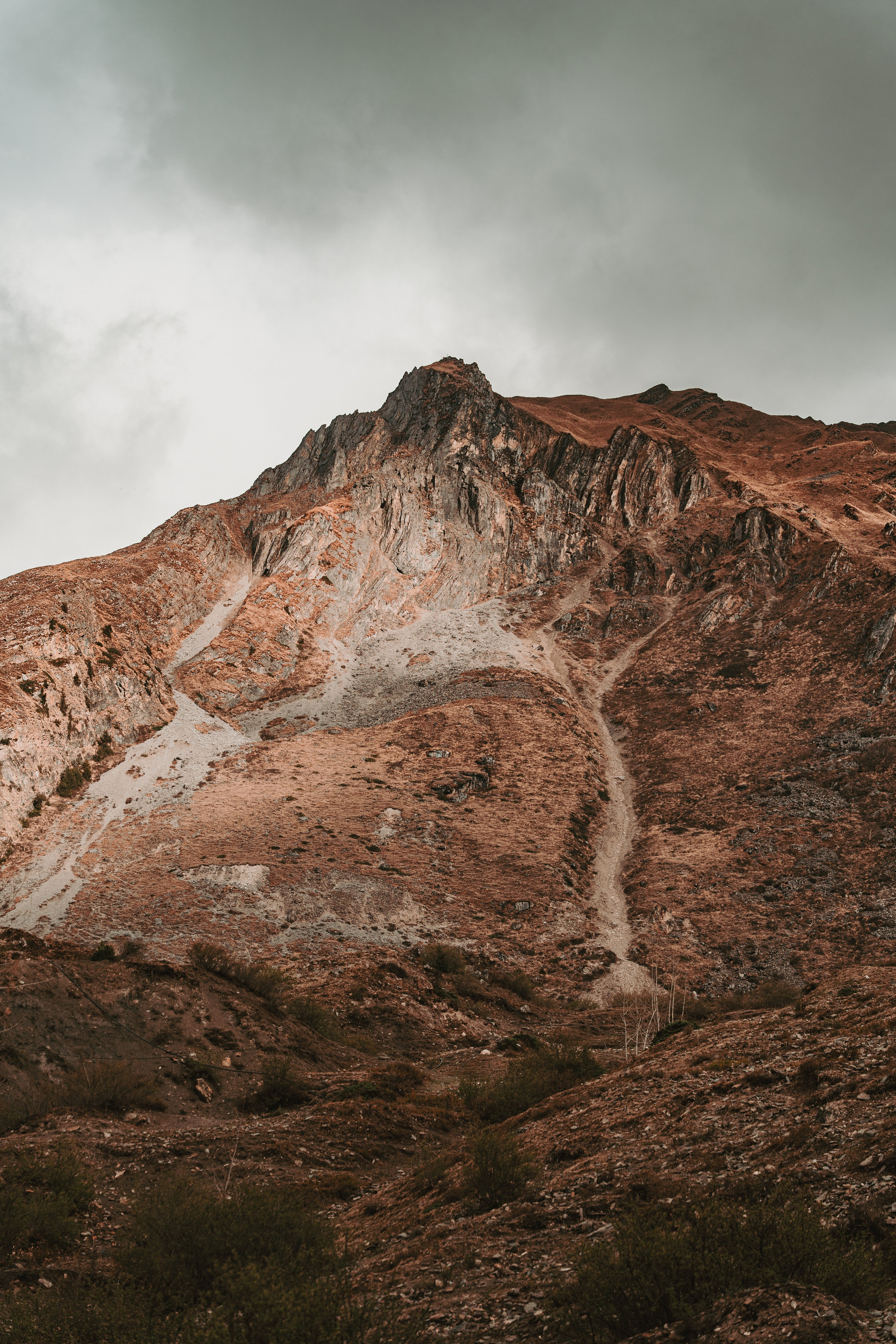 Королевство Мустанг. Dmitry Ippolitov