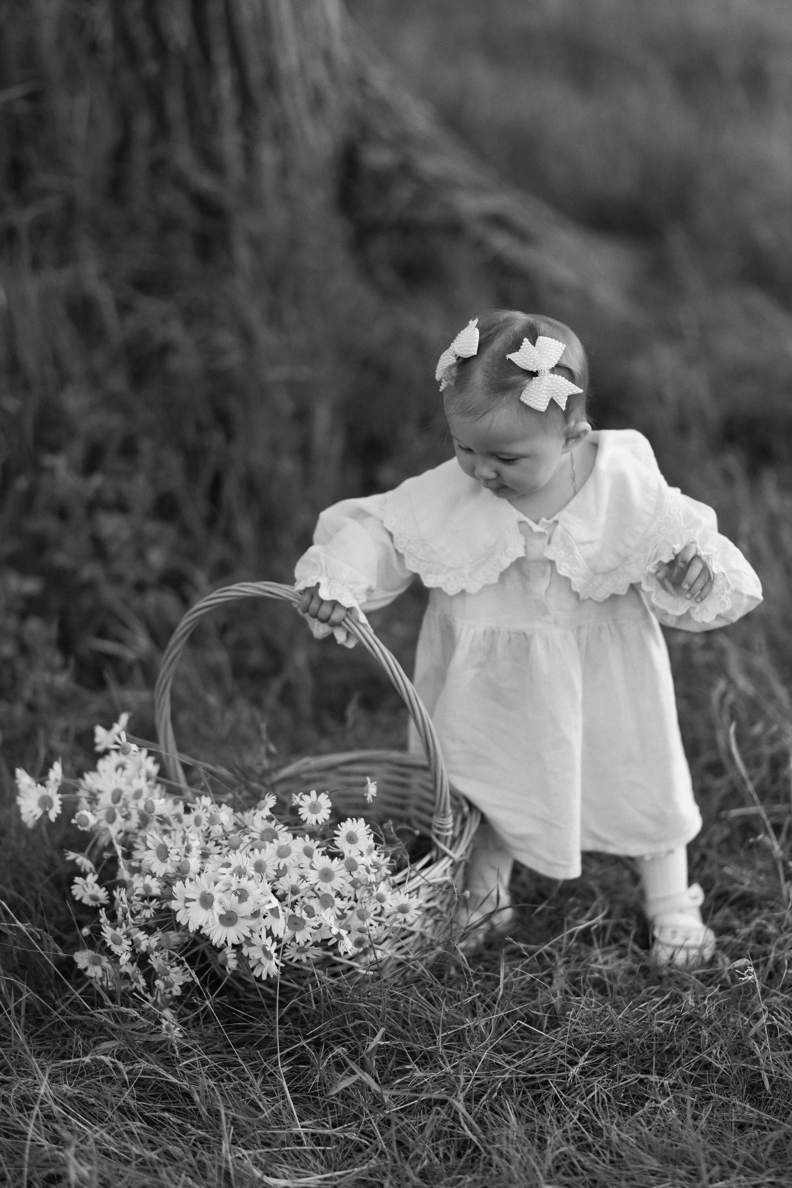 «РОМАШКИ». Maria Startseva Photo