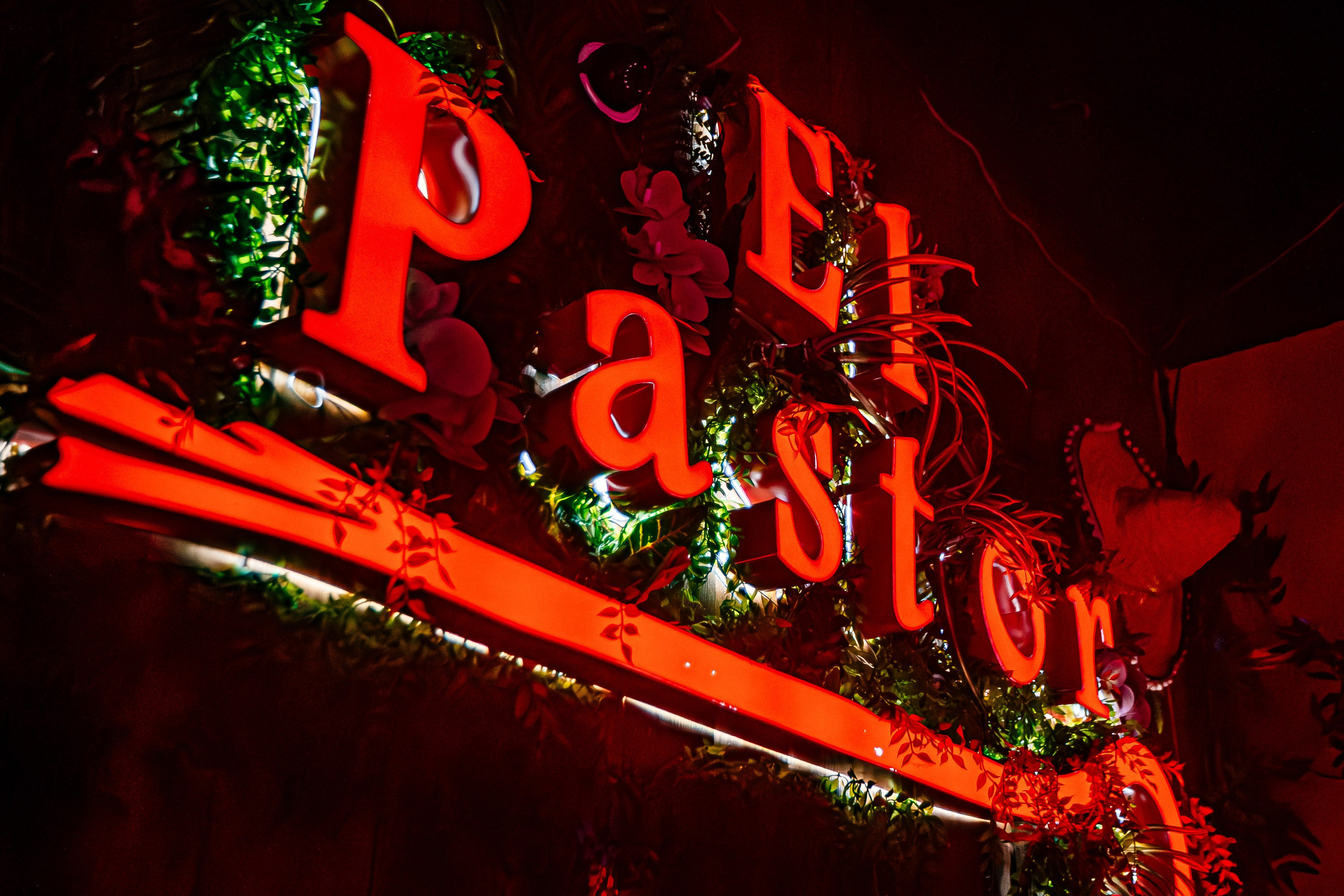 Dj Grek_El Pastor_Симферополь_30.11.2024. Аминов Руслан | Фотограф