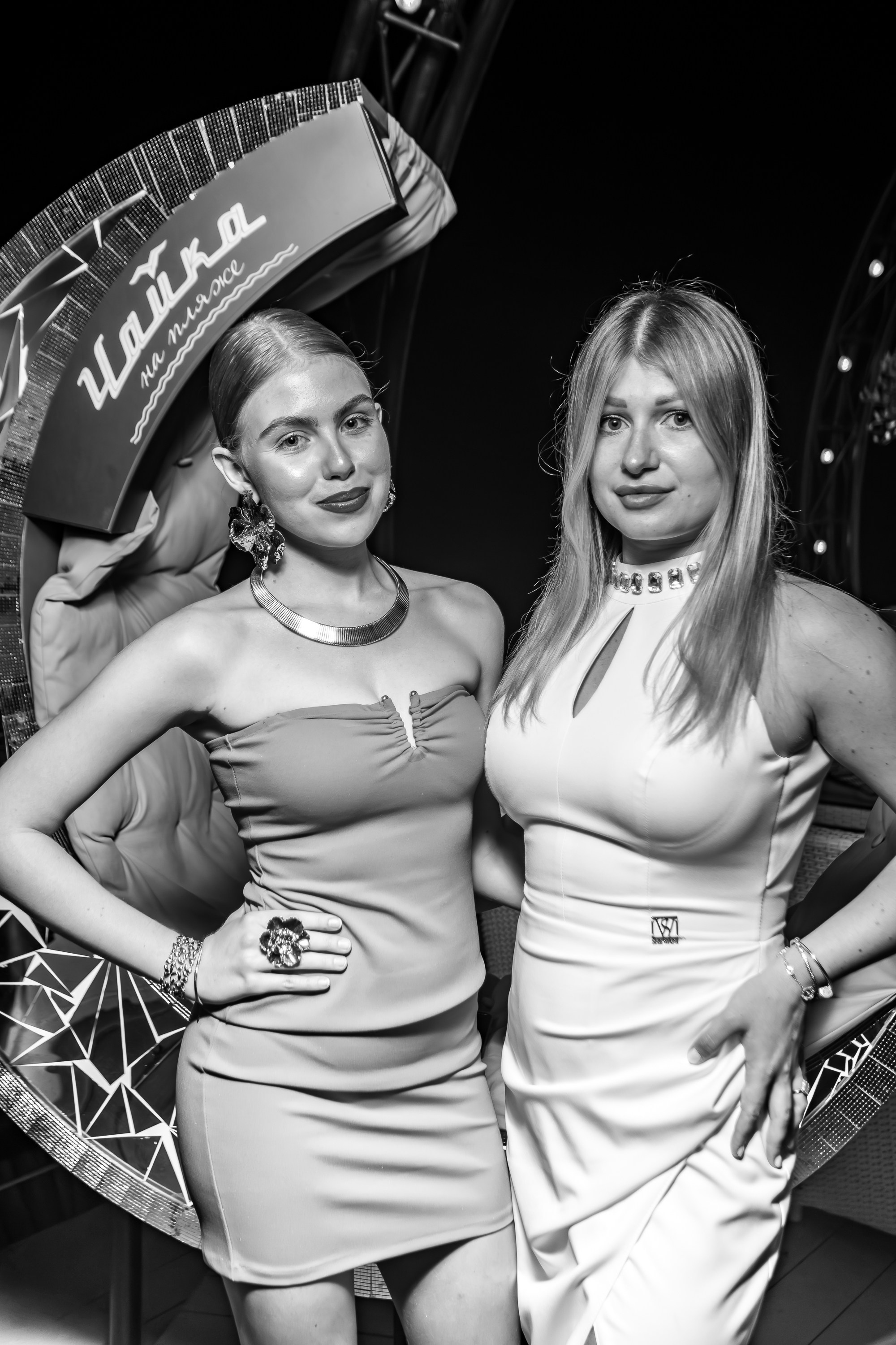 «Джиган"_Чайка на пляже_Ялта_12.07.2025 г. Аминов Руслан | Фотограф