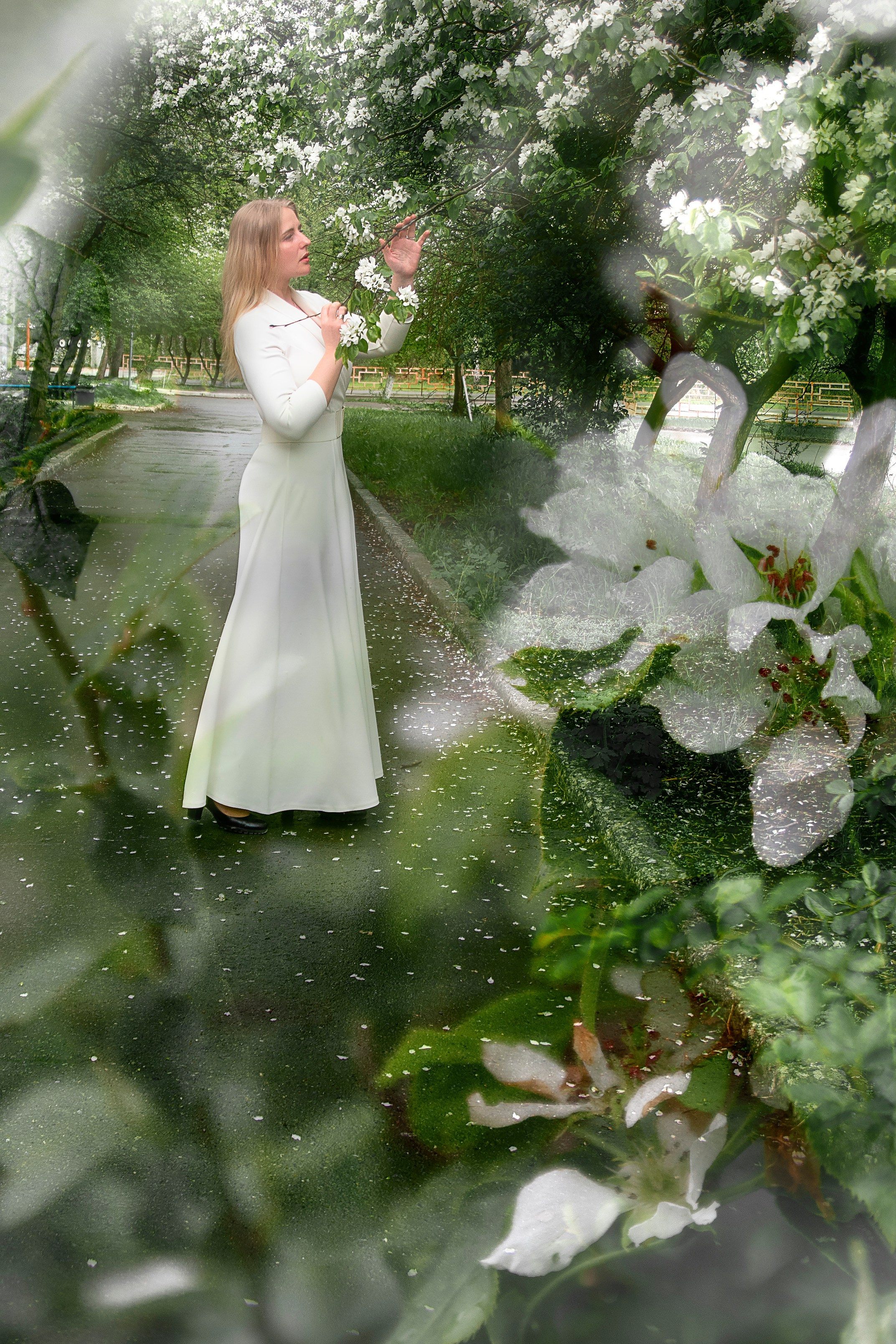 Белый шепот яблонь