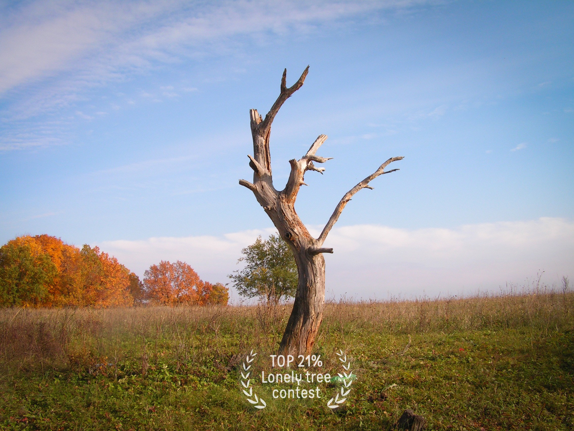 Фотопремия 35AWARDS. Фотограф в Самаре