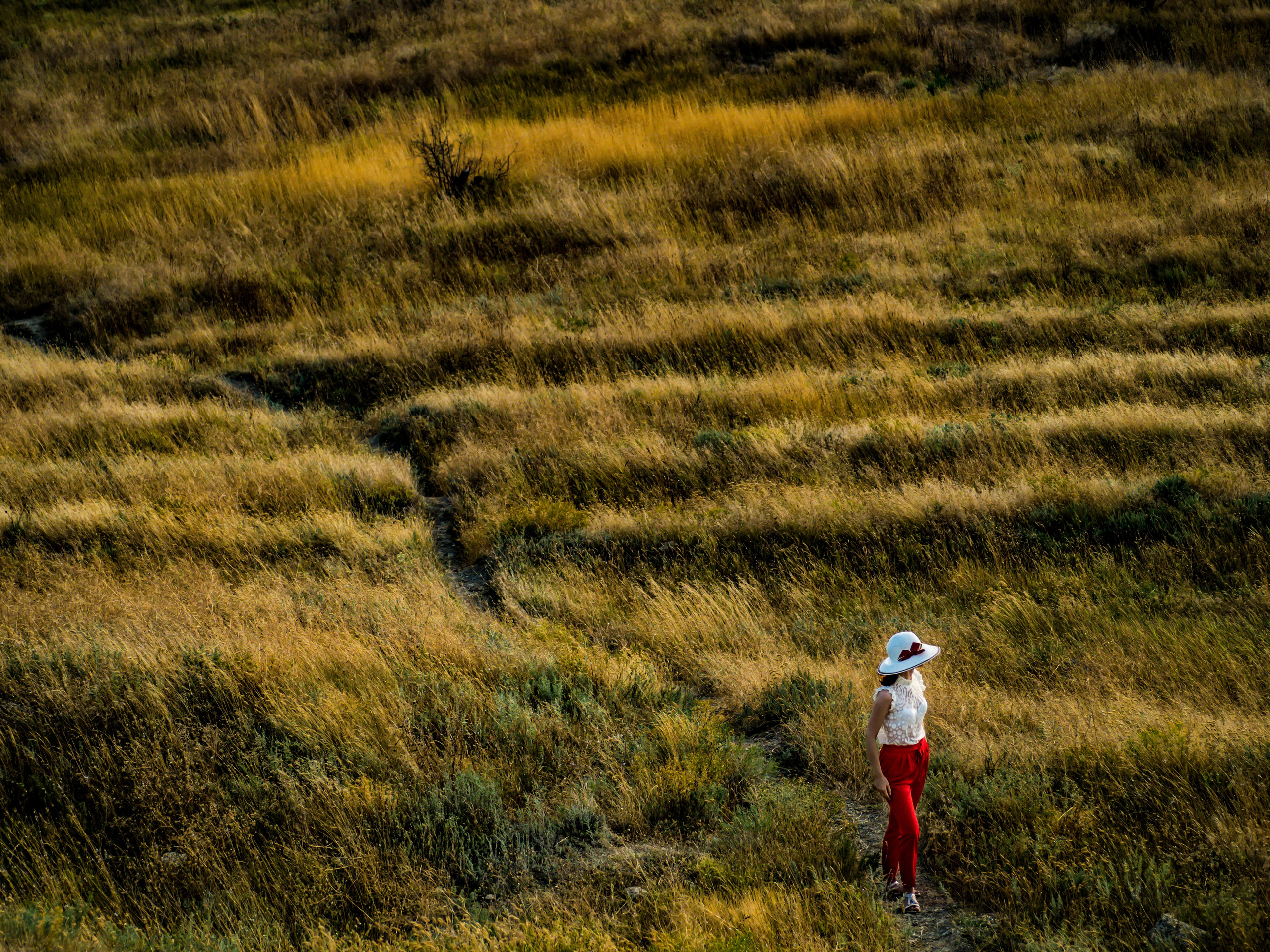 Улица и пейзаж. Oles Paritskiy