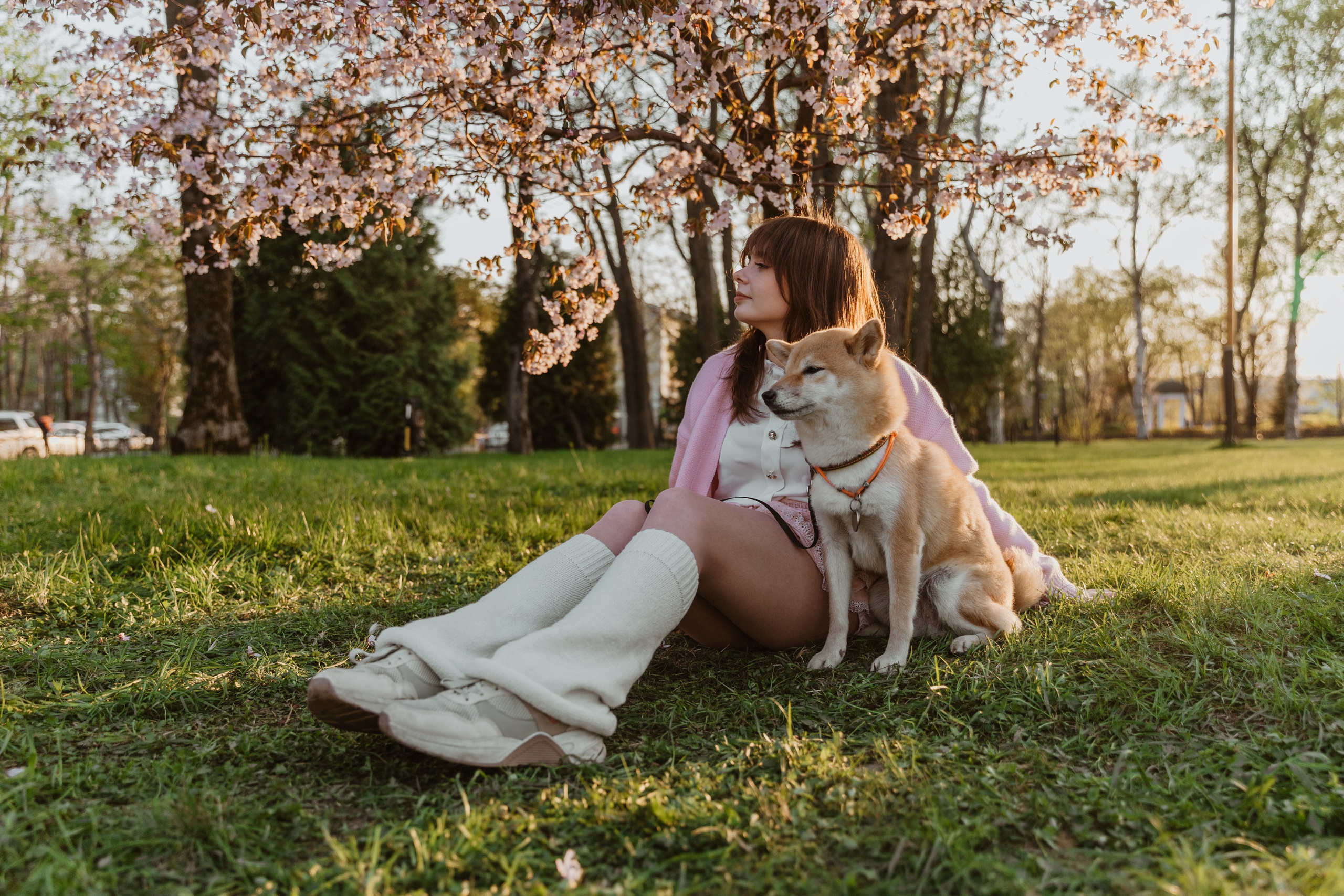 Анастасия и Тайра. Фотограф Южно-Сахалинск Сахалин Анастасия Тучина