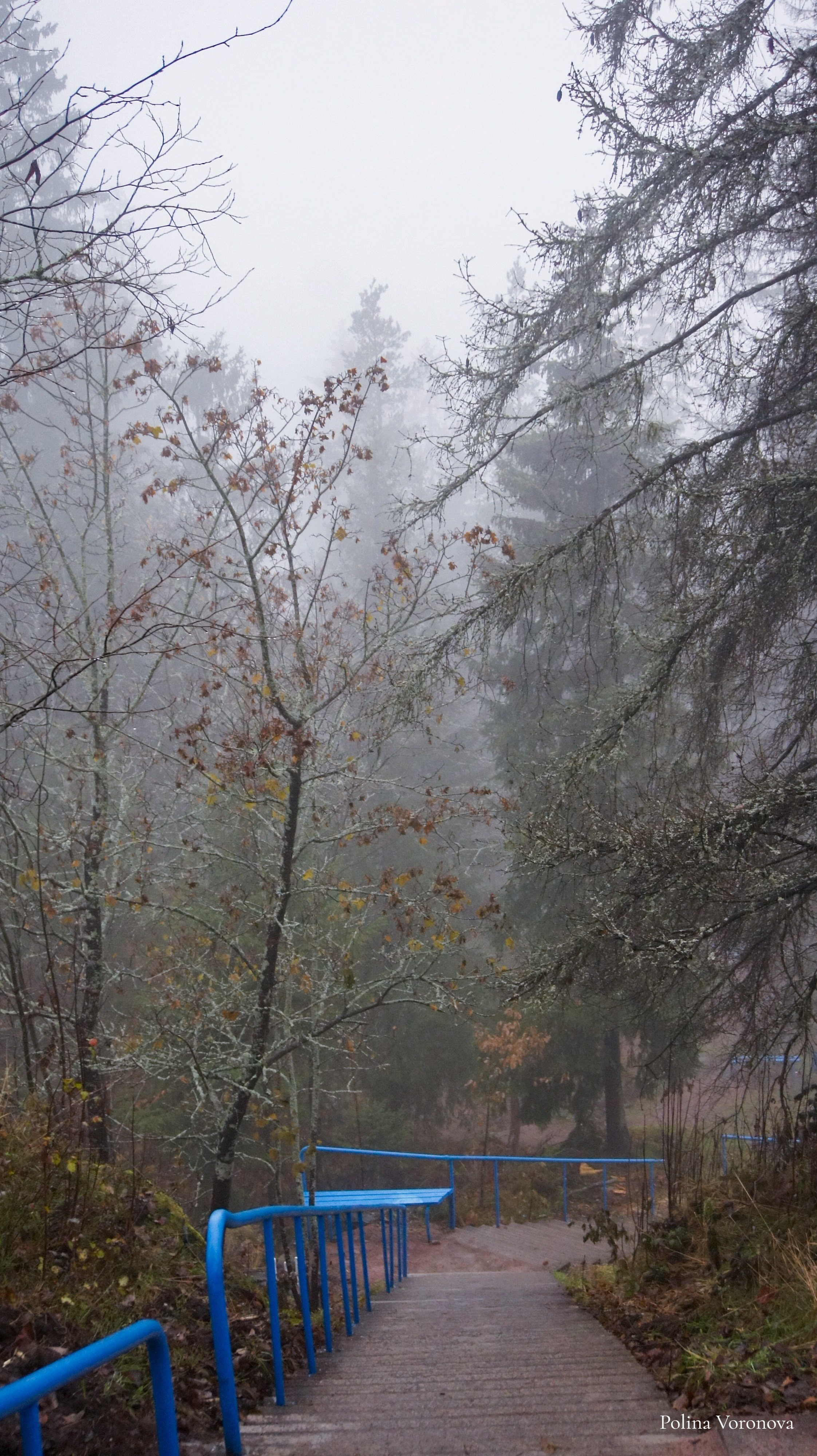 Сортавала Мистическая. Хорошая экспедиция