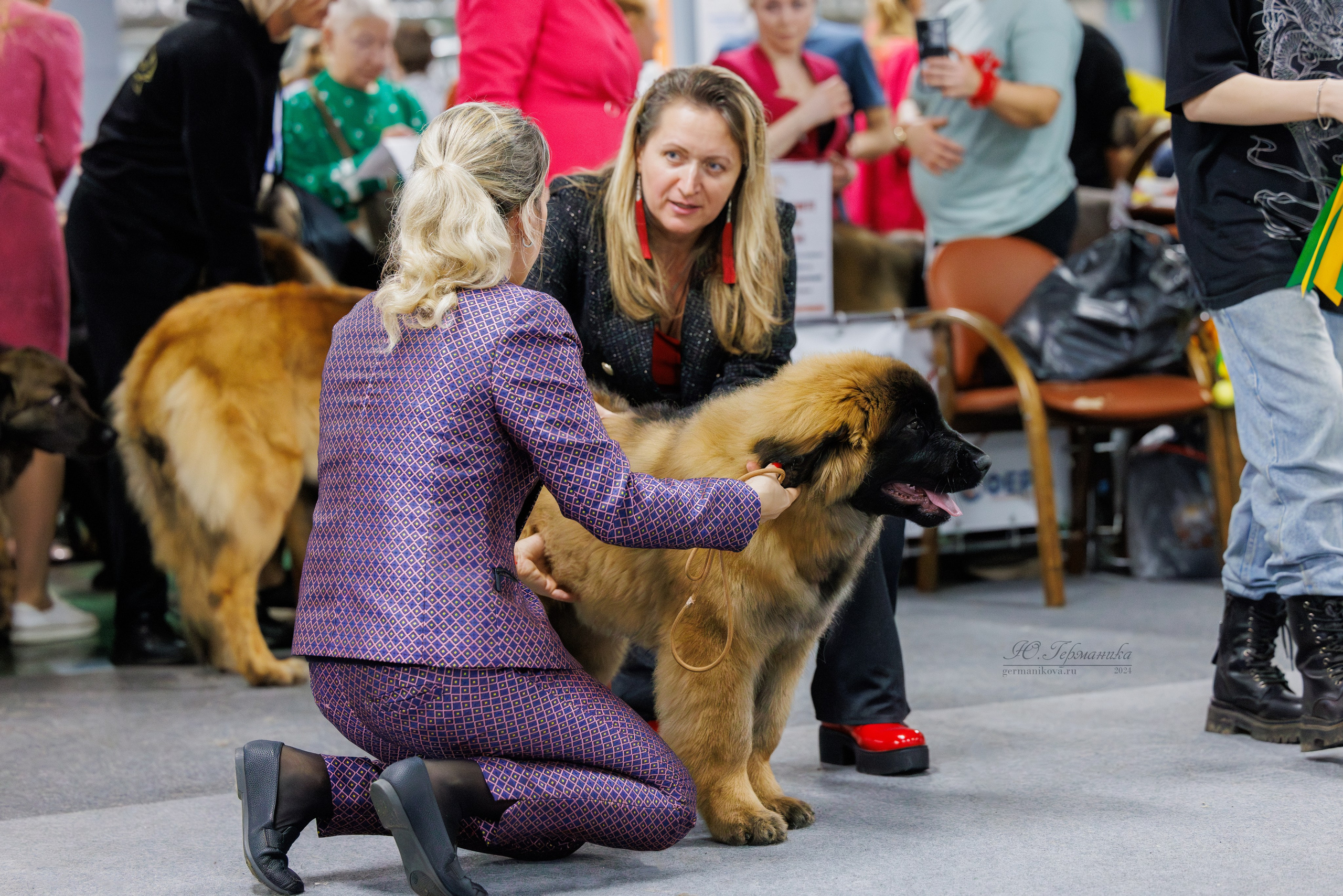 Крокус 21.12.2024,Сфера 29.12.2024. Фотограф-анималист Юлия Германика