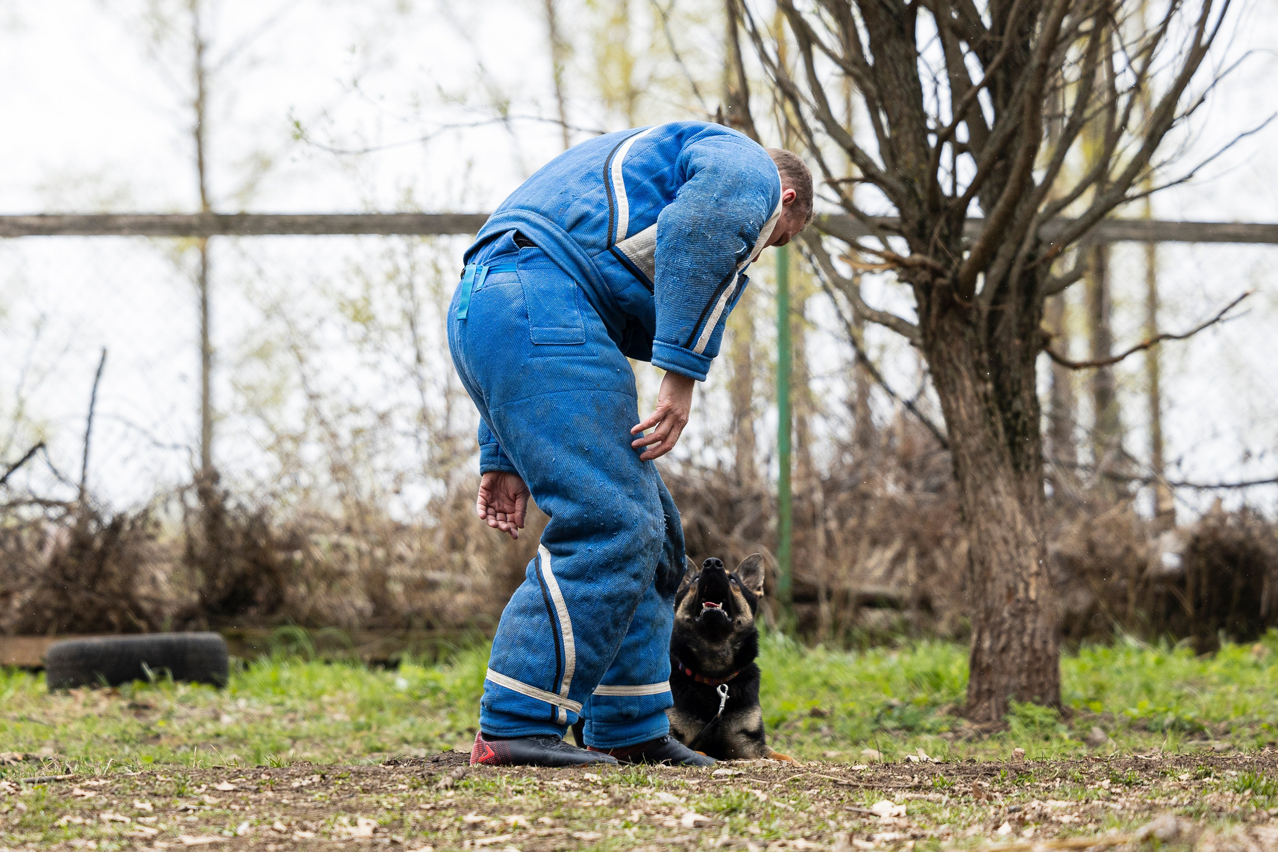Квалификационные состязания по мондьорингу г. Вологда 11.05.24. Фотограф-анималист Анна Маринич