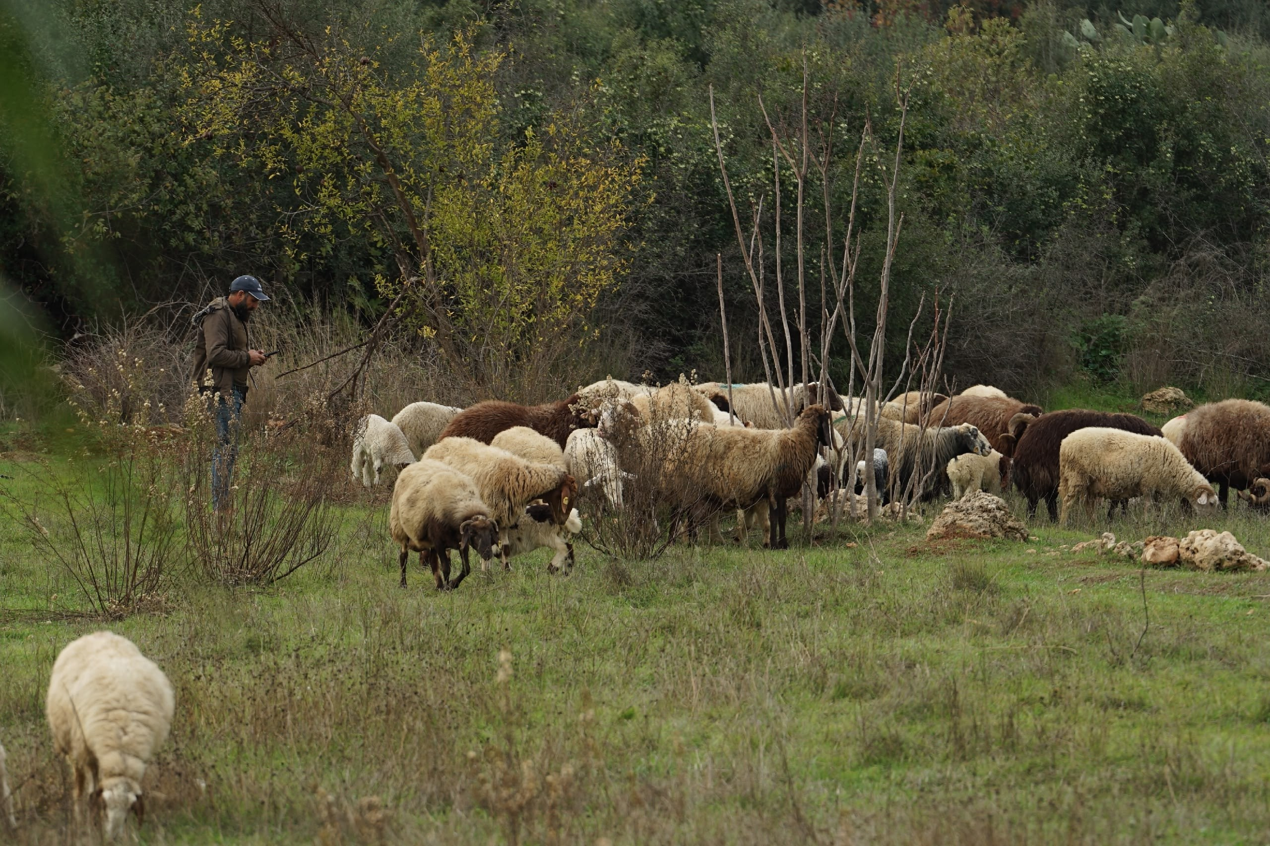 фототуры 2026