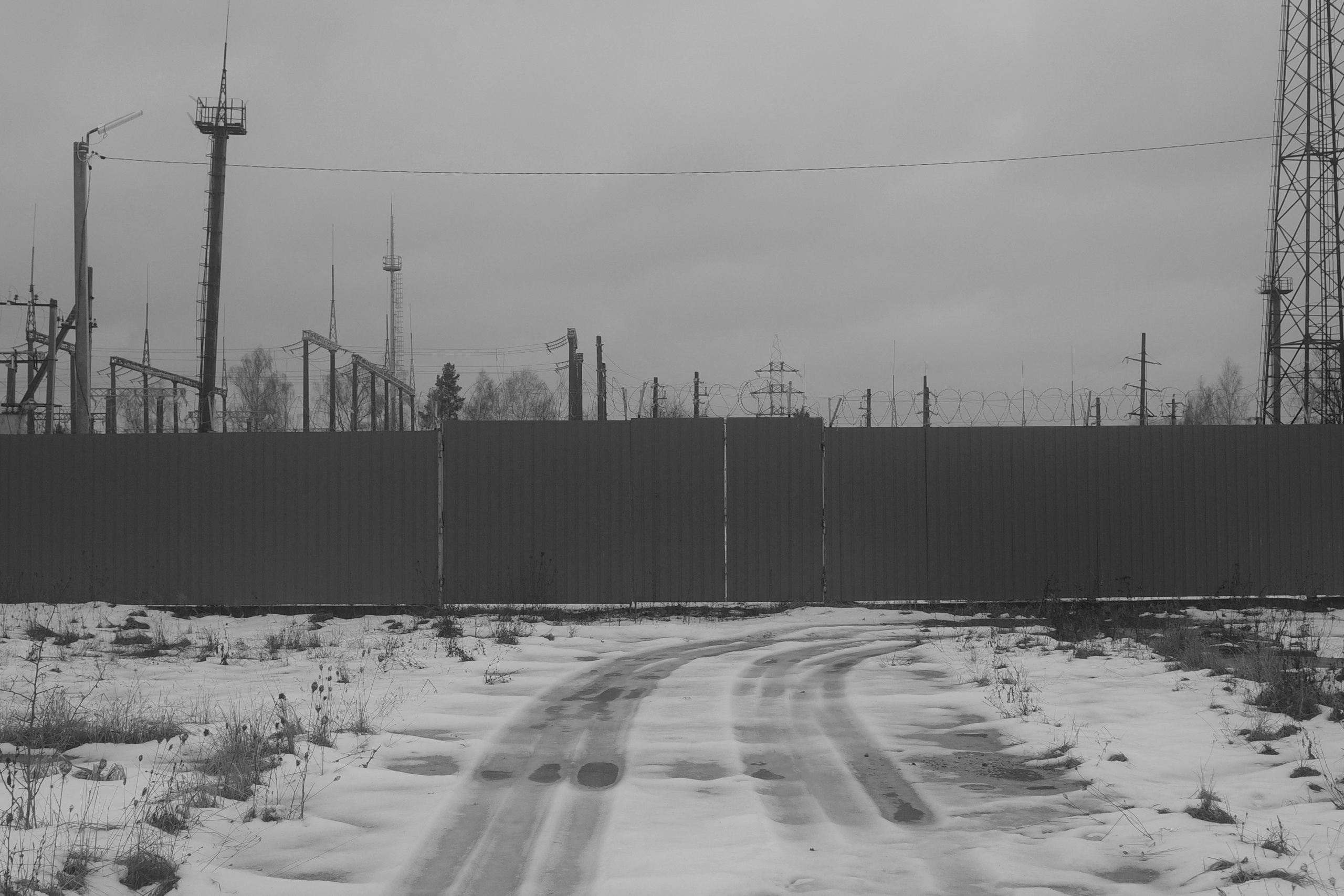 — 2025. Фотограф Злата Спицына