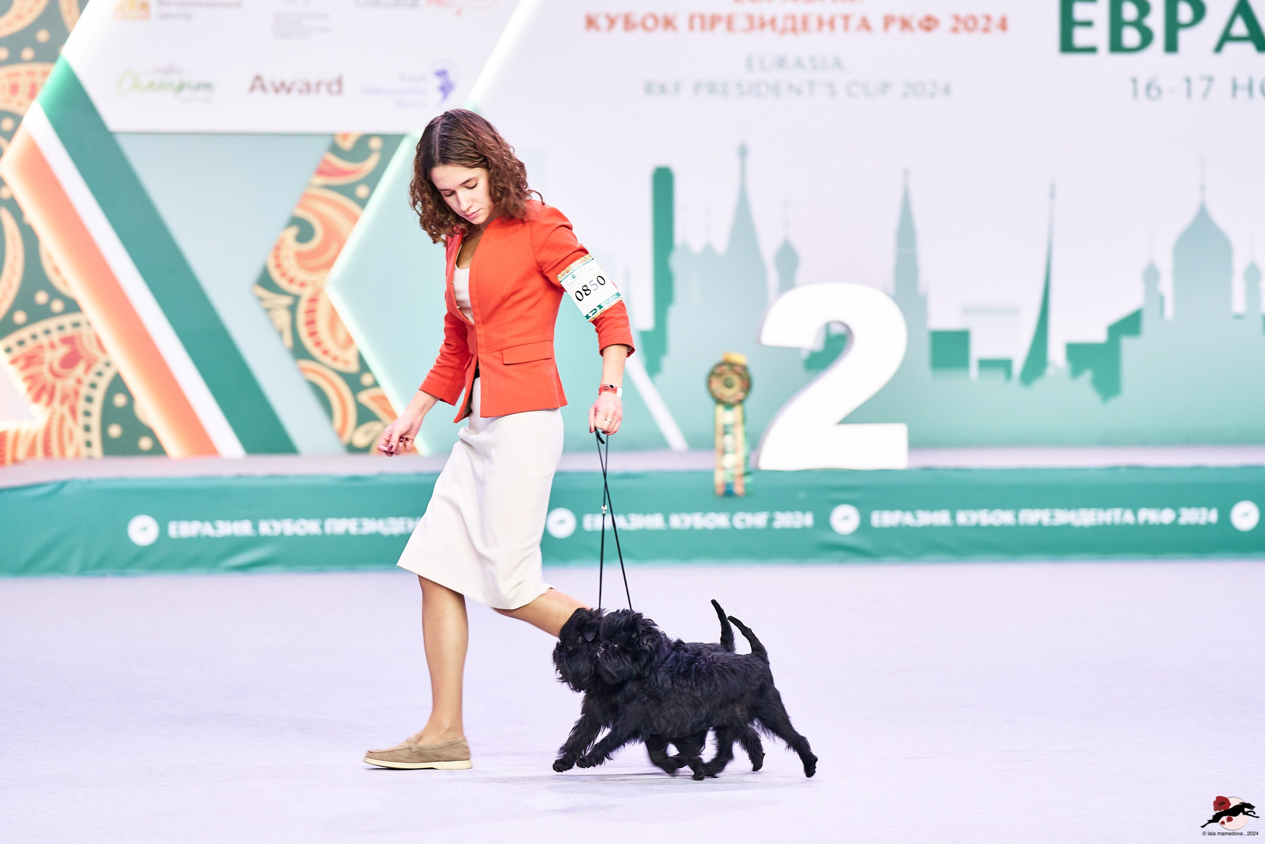 16.11.2024 «ЕВРАЗИЯ. КУБОК ПРЕЗИДЕНТА РКФ 2024»