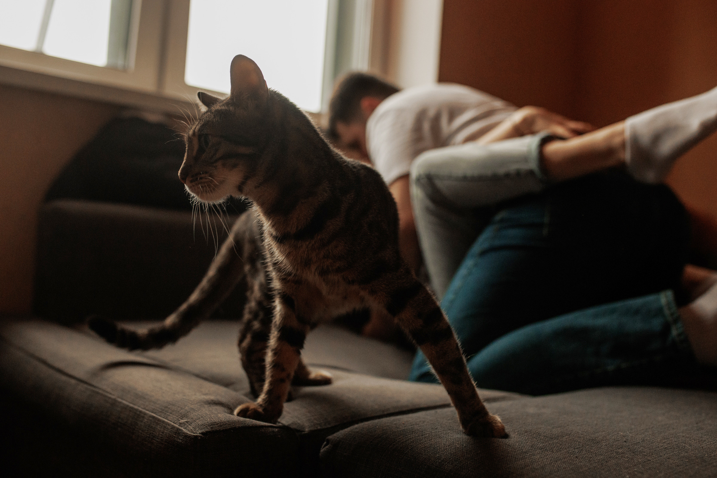 Виолетта и Валера 2023. Свадебный и портретный фотограф Алина Иванова. Екатеринбург-Москва