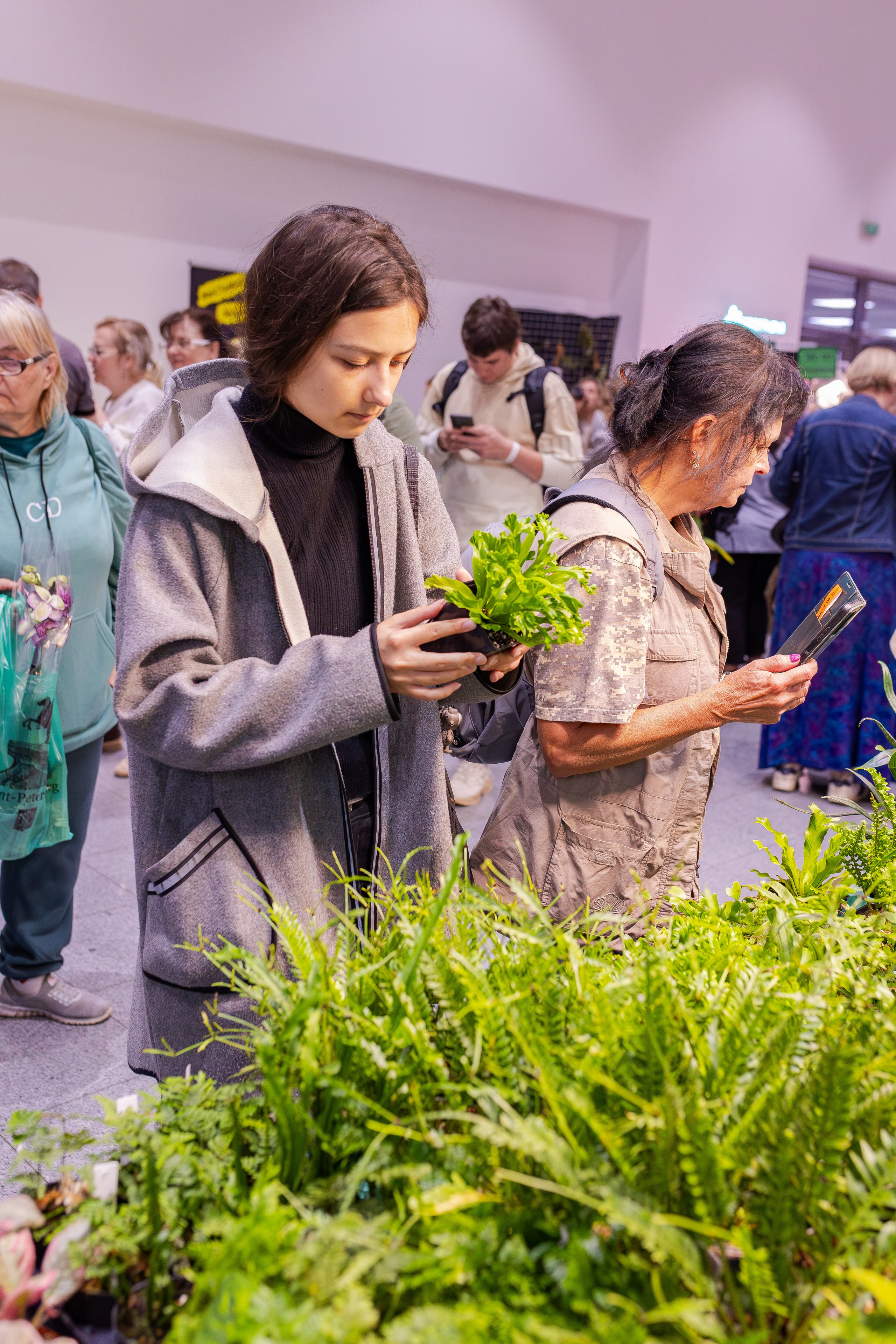 Орхидиум сентябрь 2025. Александра Куликова фотограф, Москва