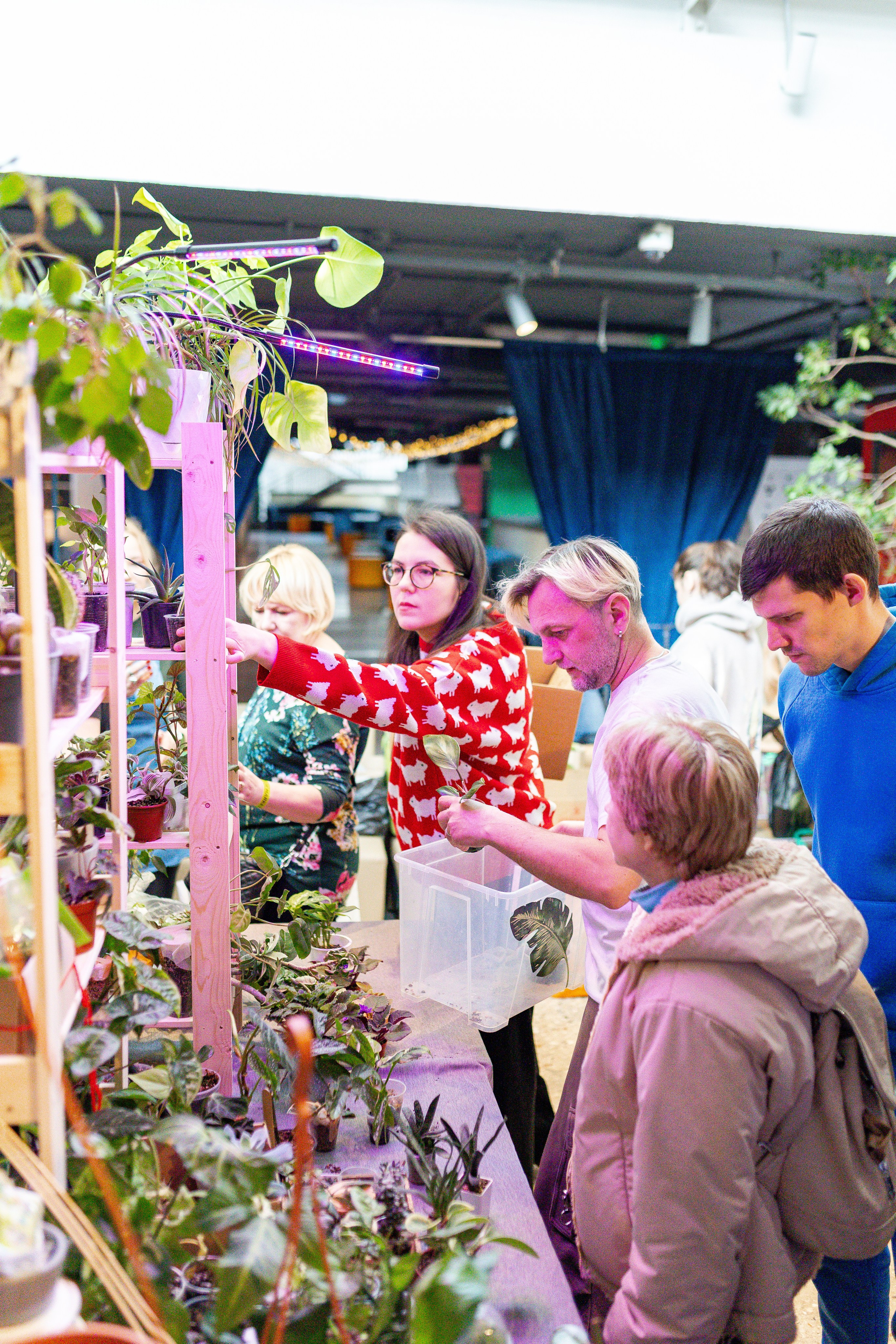 Growbox 1–2 марта. Александра Куликова фотограф, Москва