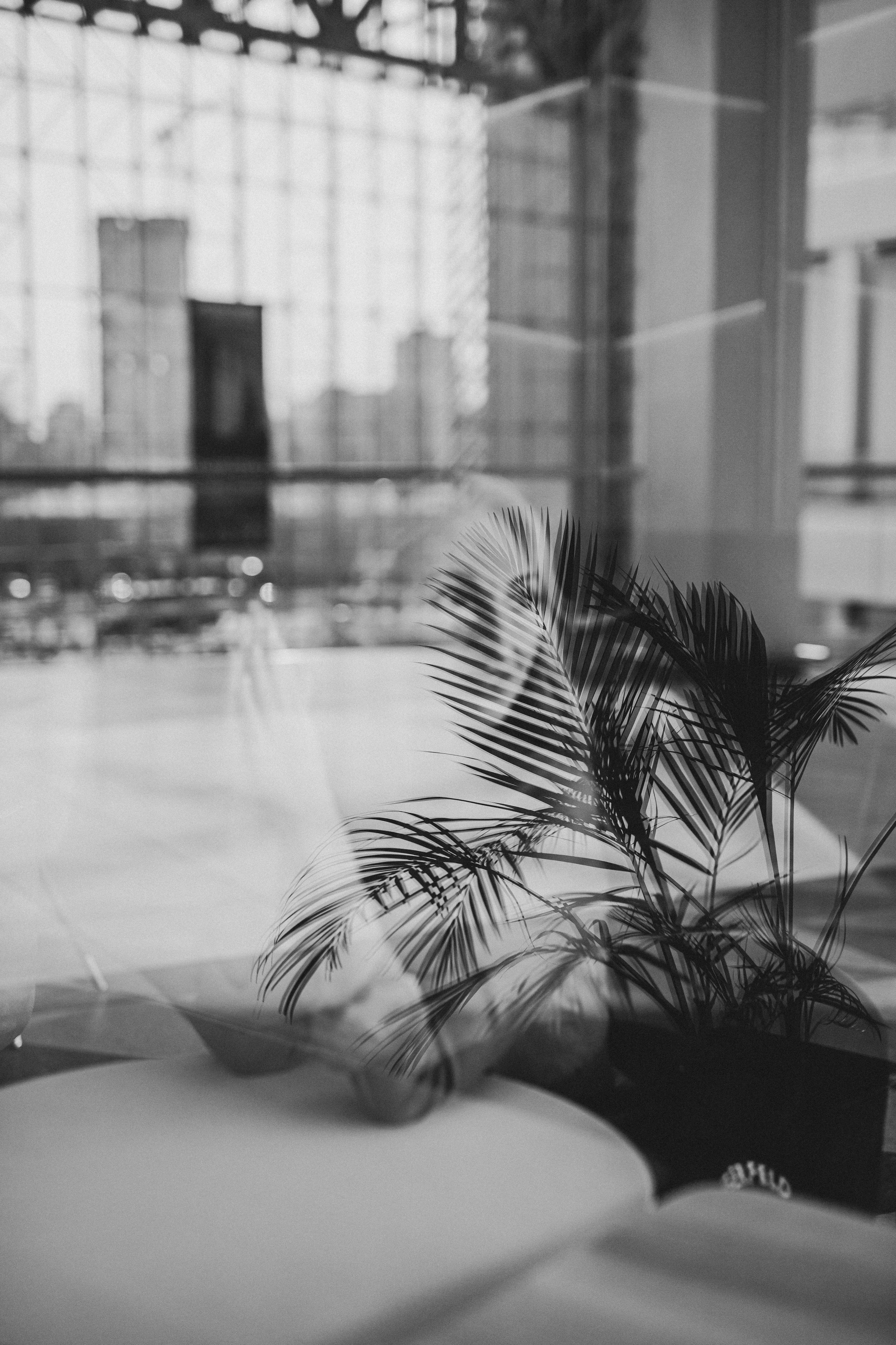 Ирина. Фотограф Анастасия Петрова