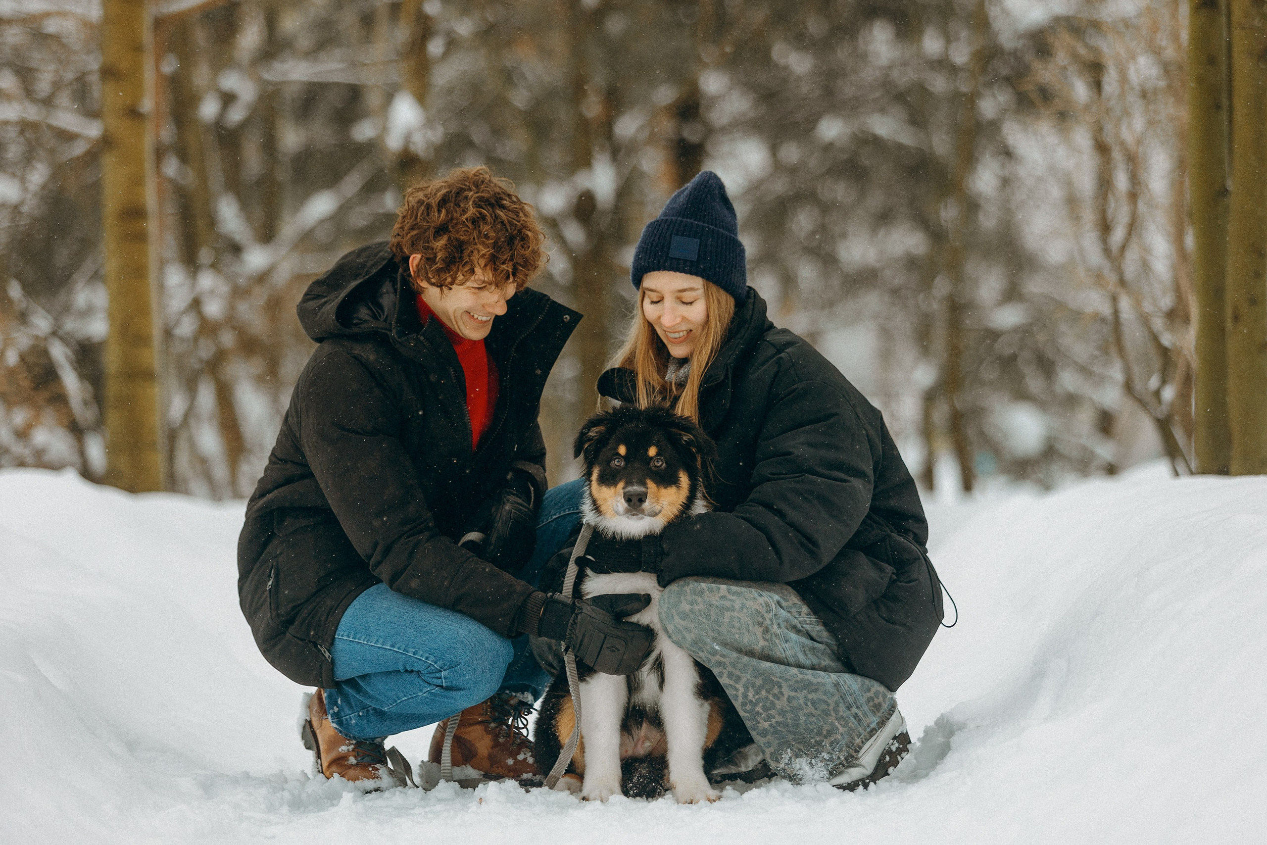 Рей со своей семьей. Фотограф. Фотограф-анималист. Москва